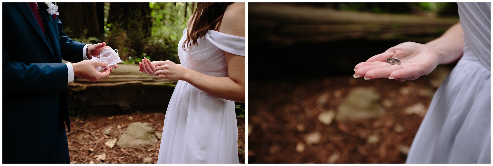 Big Sur - Elopement - Photographer - Rebecca and Tyler - Adventure Wedding Photographer_0024.jpg