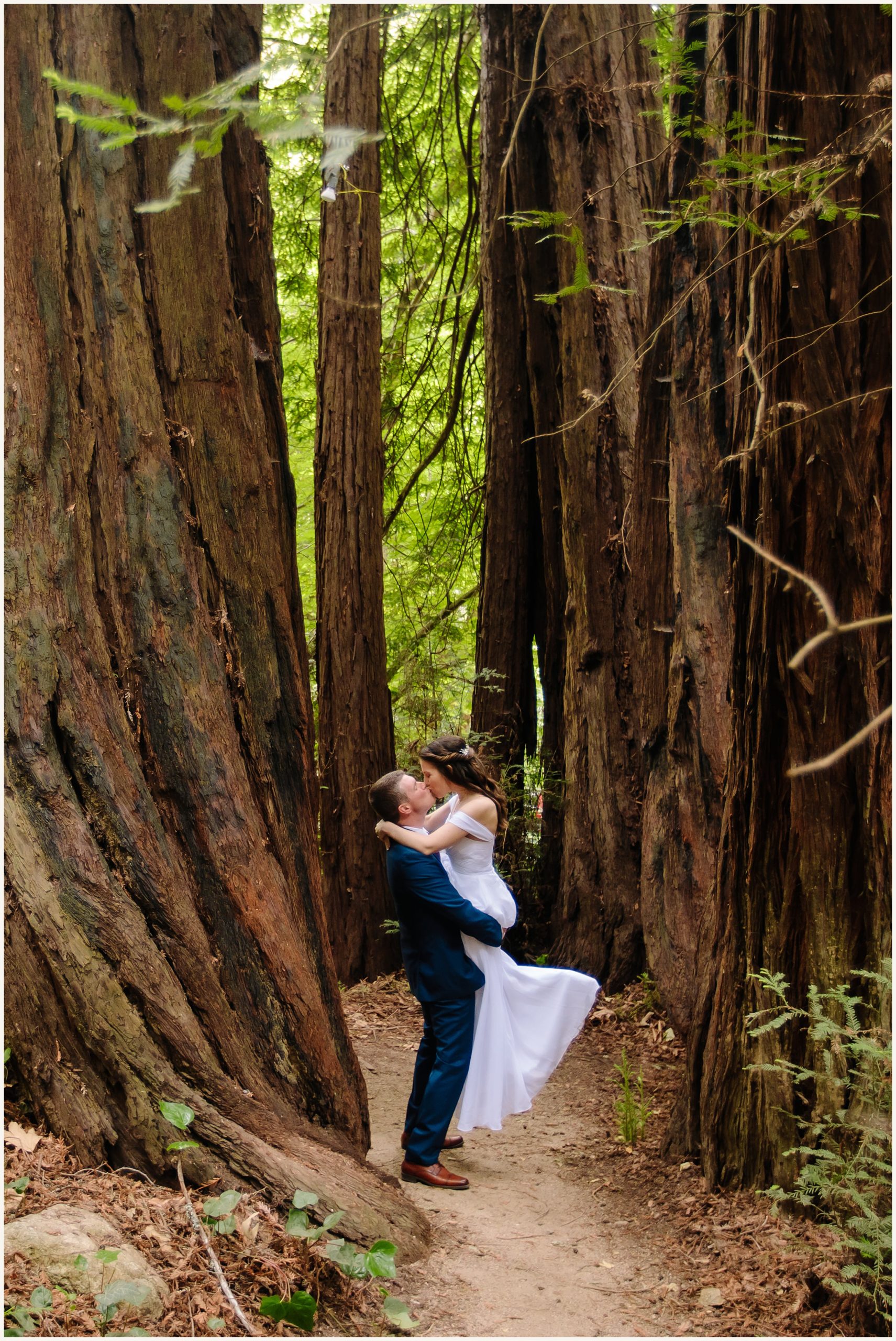 Bride and Groom photos in Redwood Trees