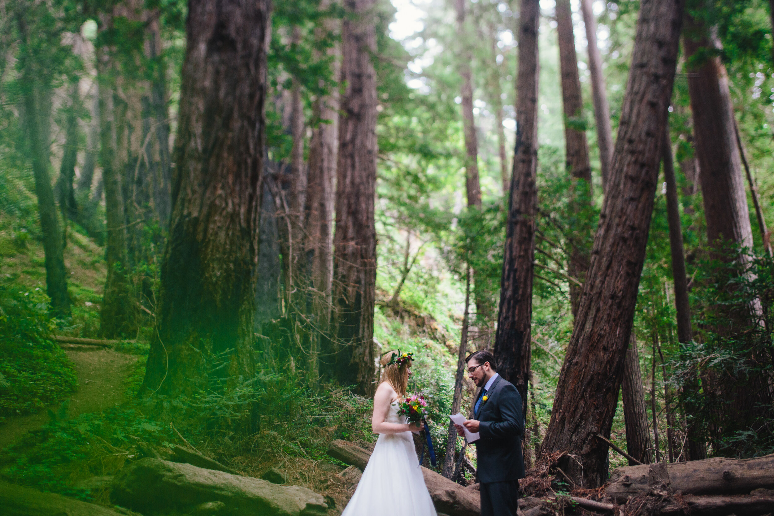 Redwoods-Elopement_Ali-and-Nick_0030 How to Plan Your Dream California Redwood Elopement: A Step-by-Step Guide