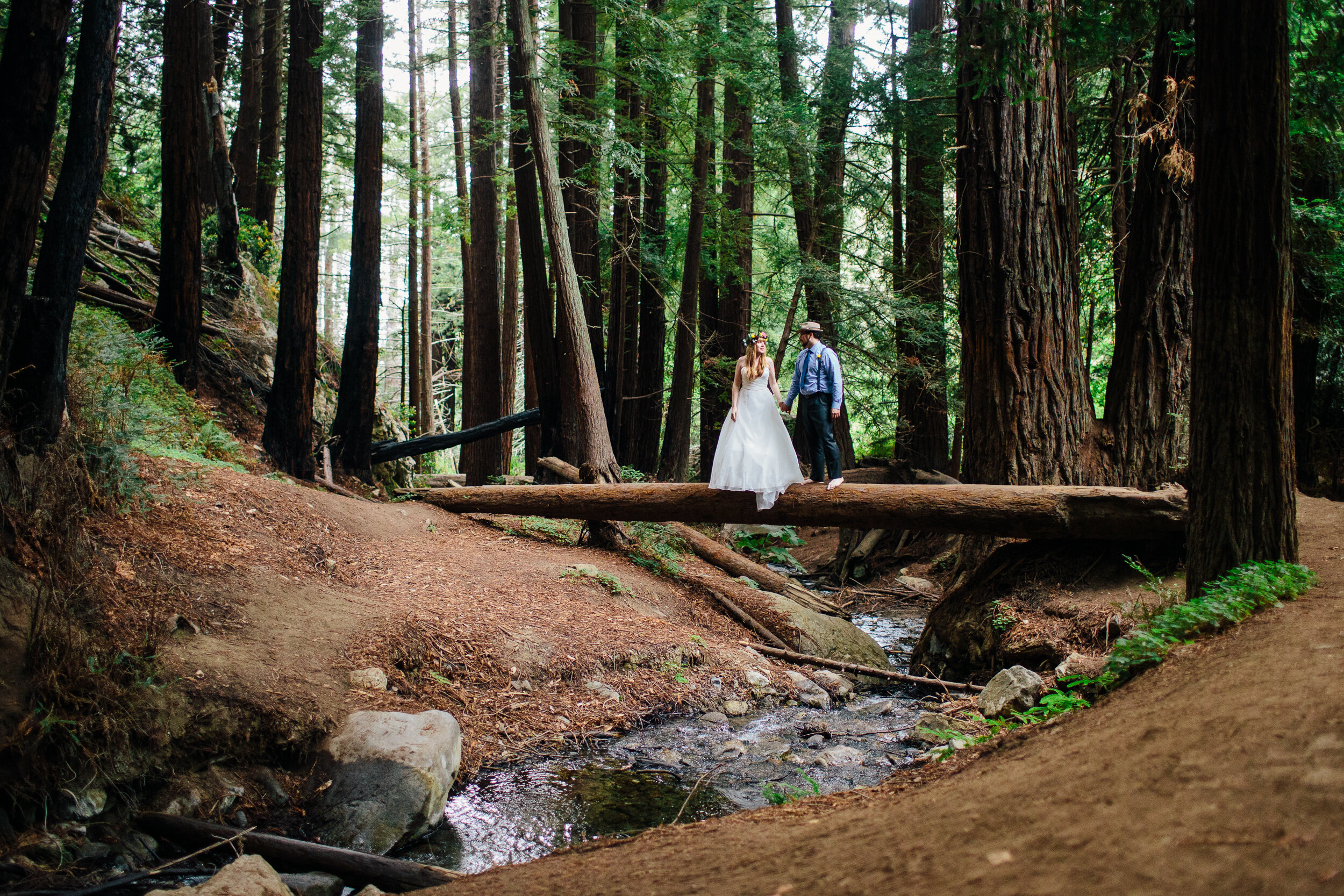 Redwoods-Elopement_Ali-and-Nick_0030 How to Plan Your Dream California Redwood Elopement: A Step-by-Step Guide