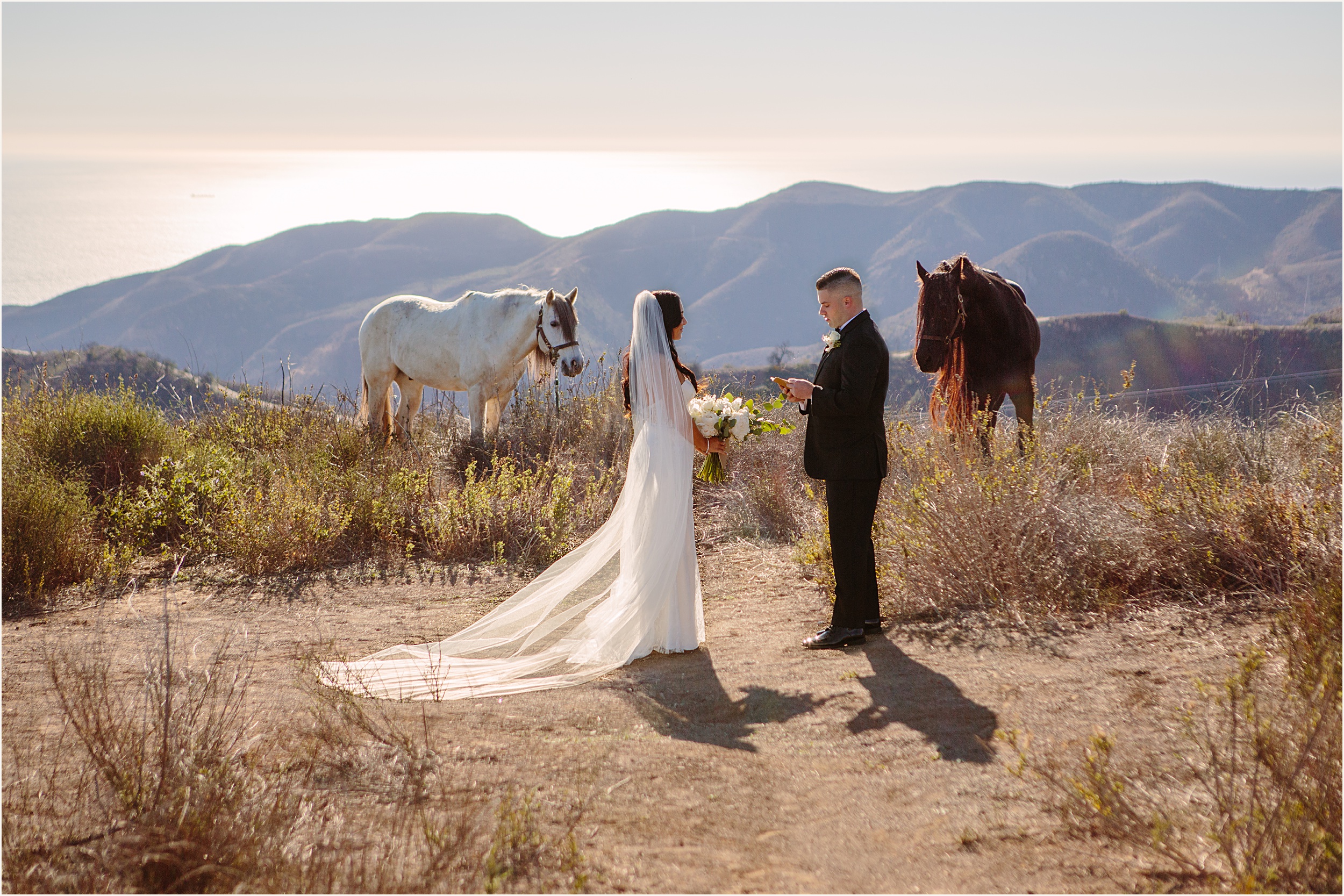 Photo of bride and groom exchanging vows with a white and brown horse in the background