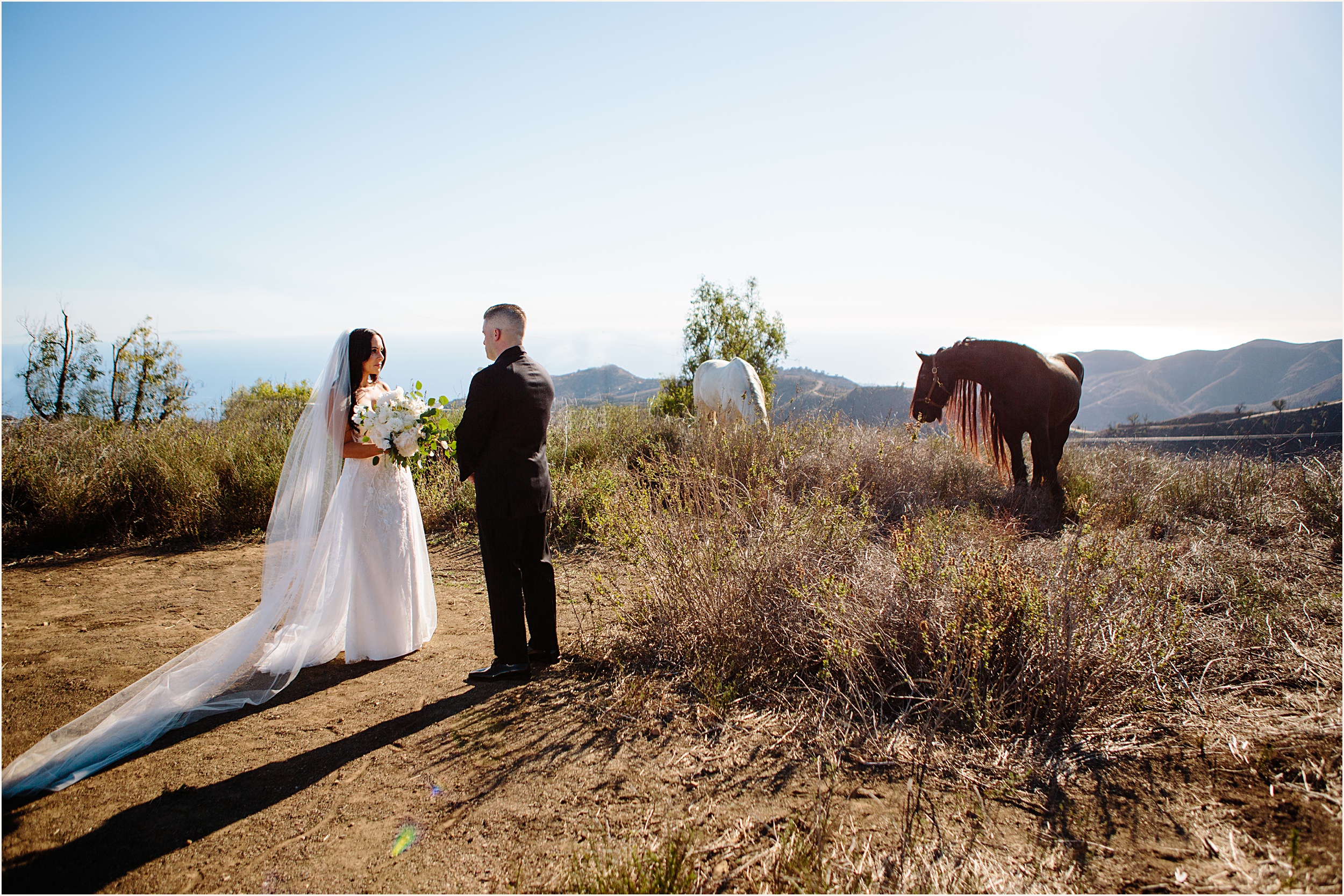Photo of bride and groom exchanging vows with a white and brown horse in the background