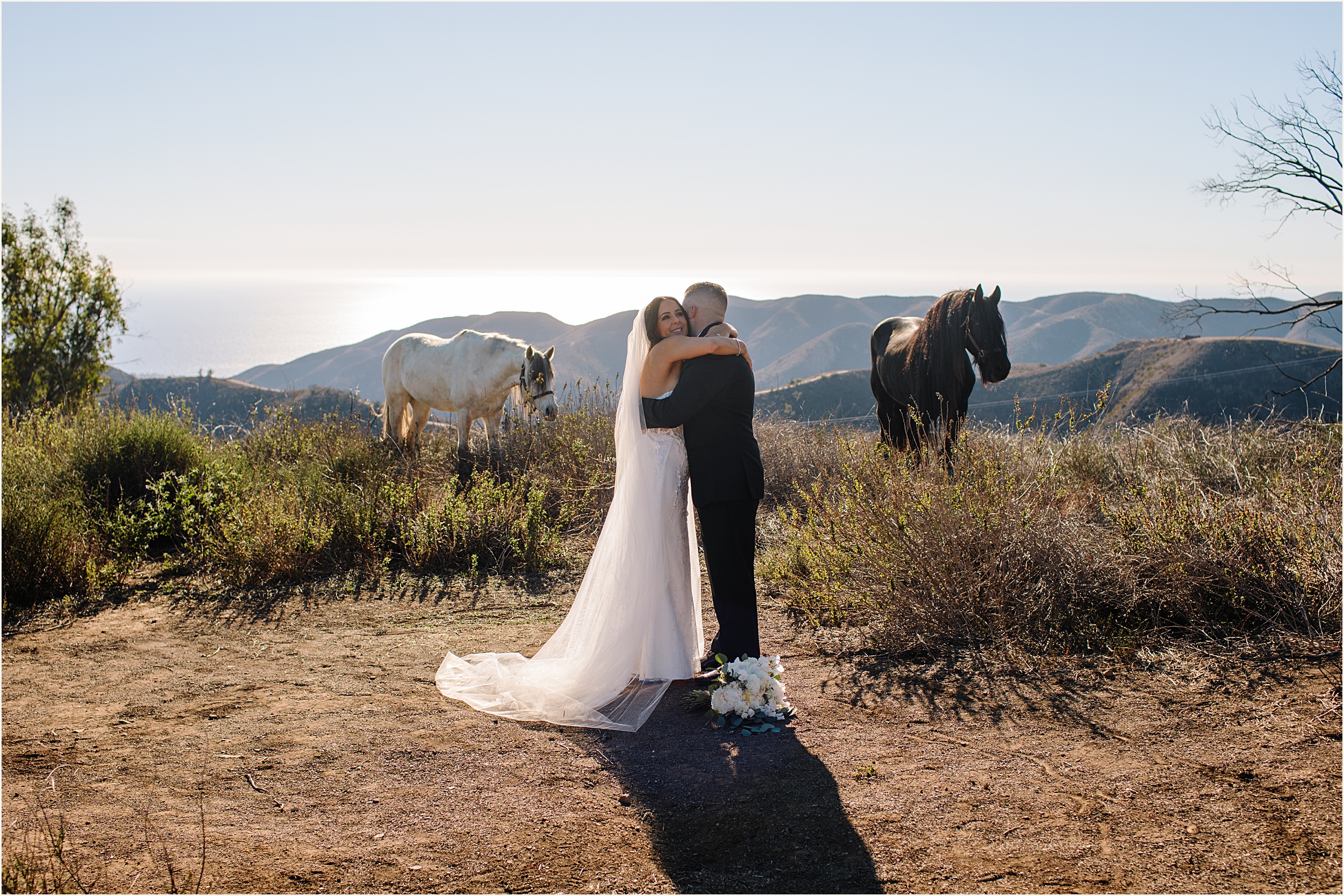Photo of bride and groom with a white and brown horse in the background