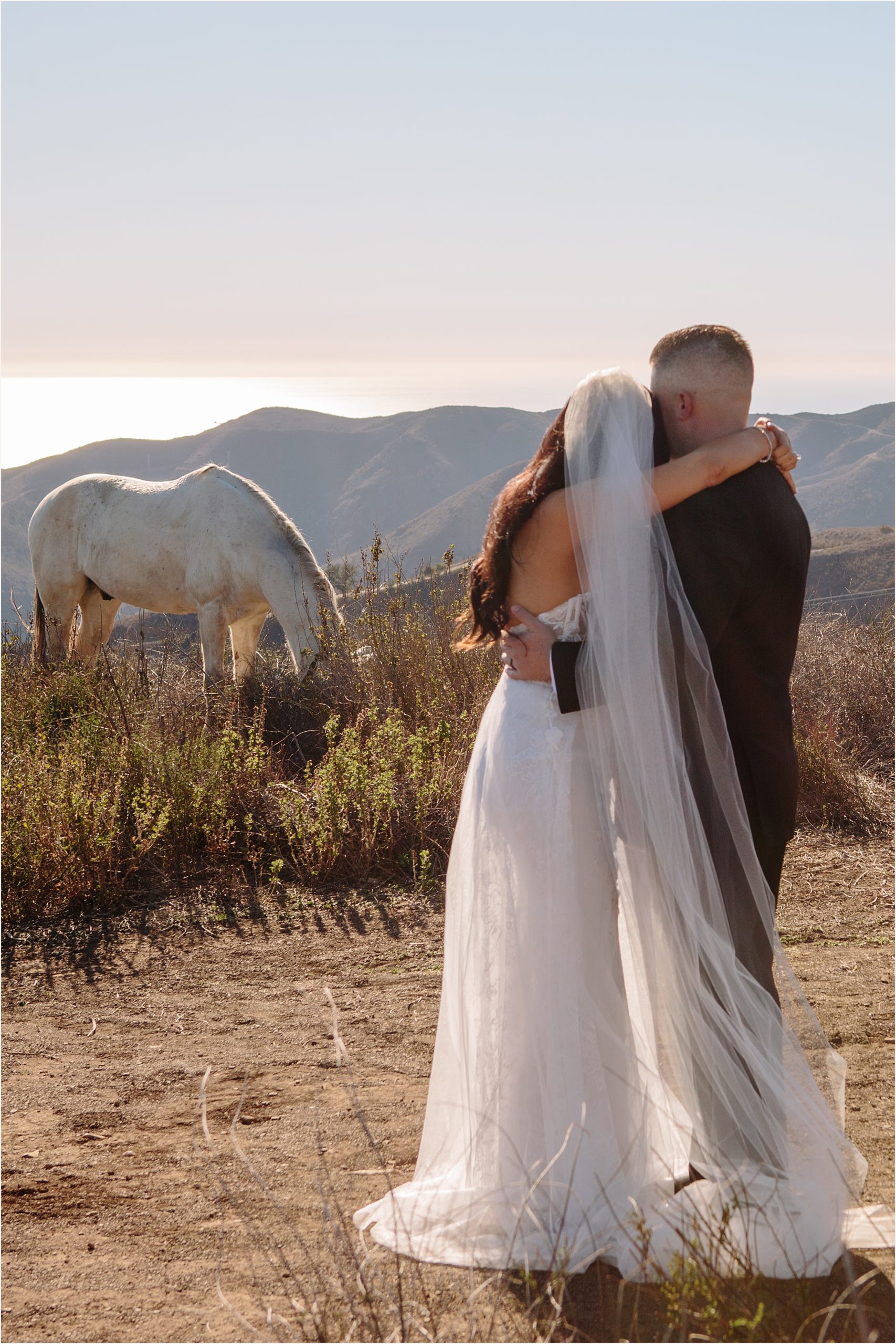 Photo of bride and groom holding eachother while looking at white horse in the background