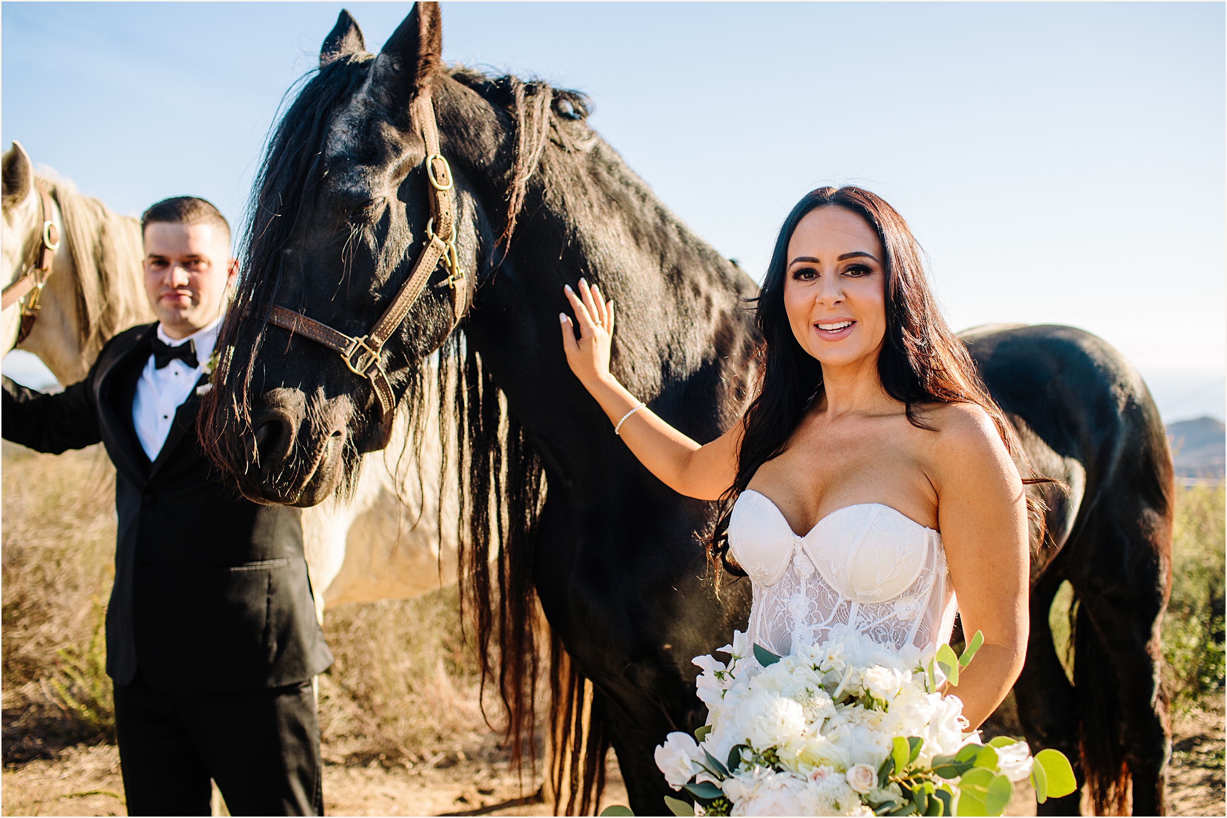 Photo of bride and groom petting a white and brown horse