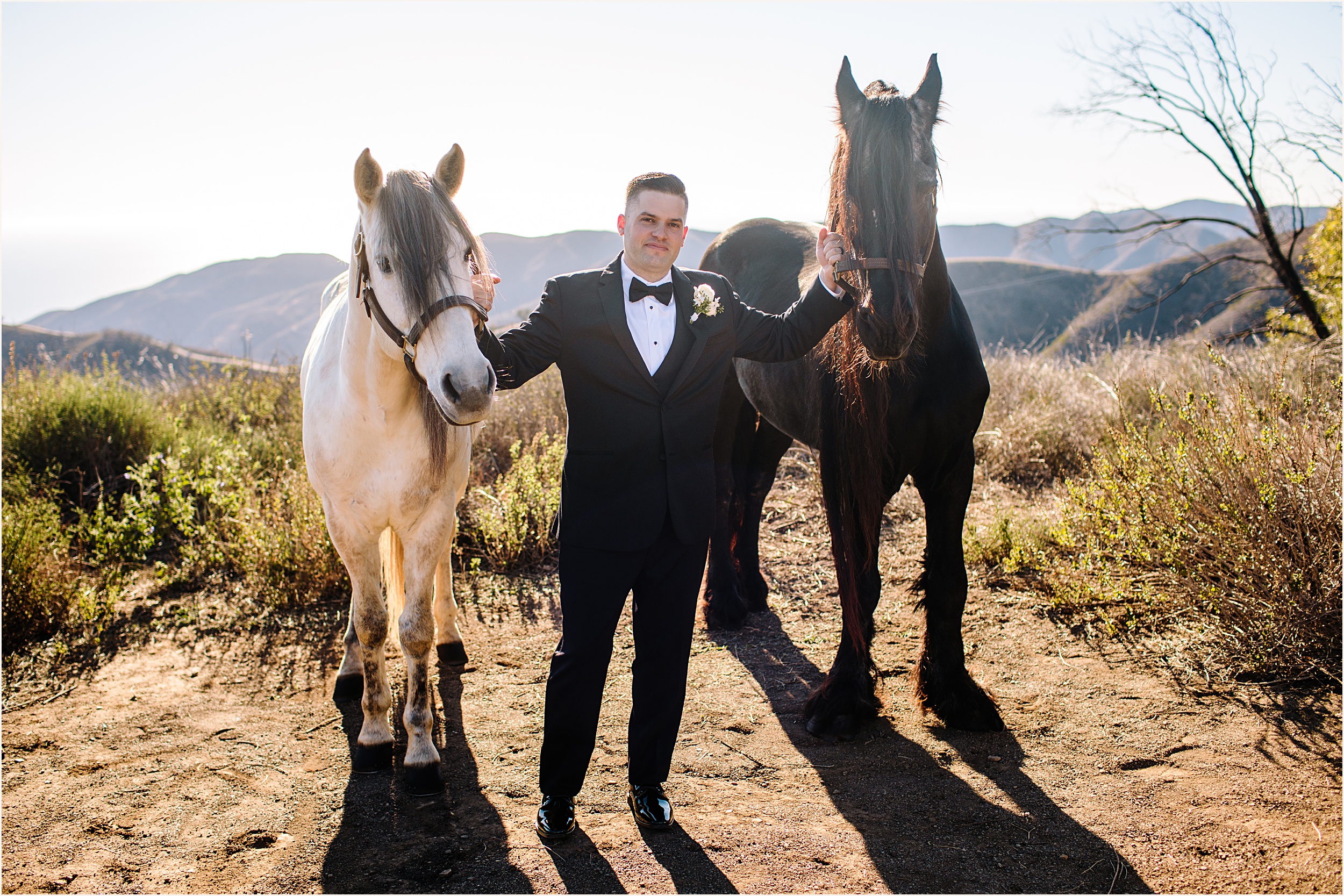 Photo of groom with two horses