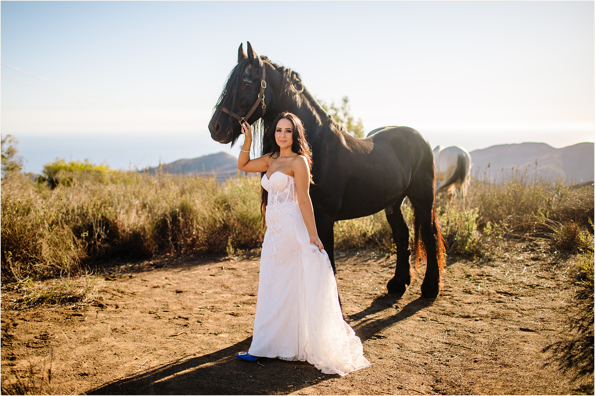 Photo of bride posing next to a black horse in strapless lace mermaid elopement dress