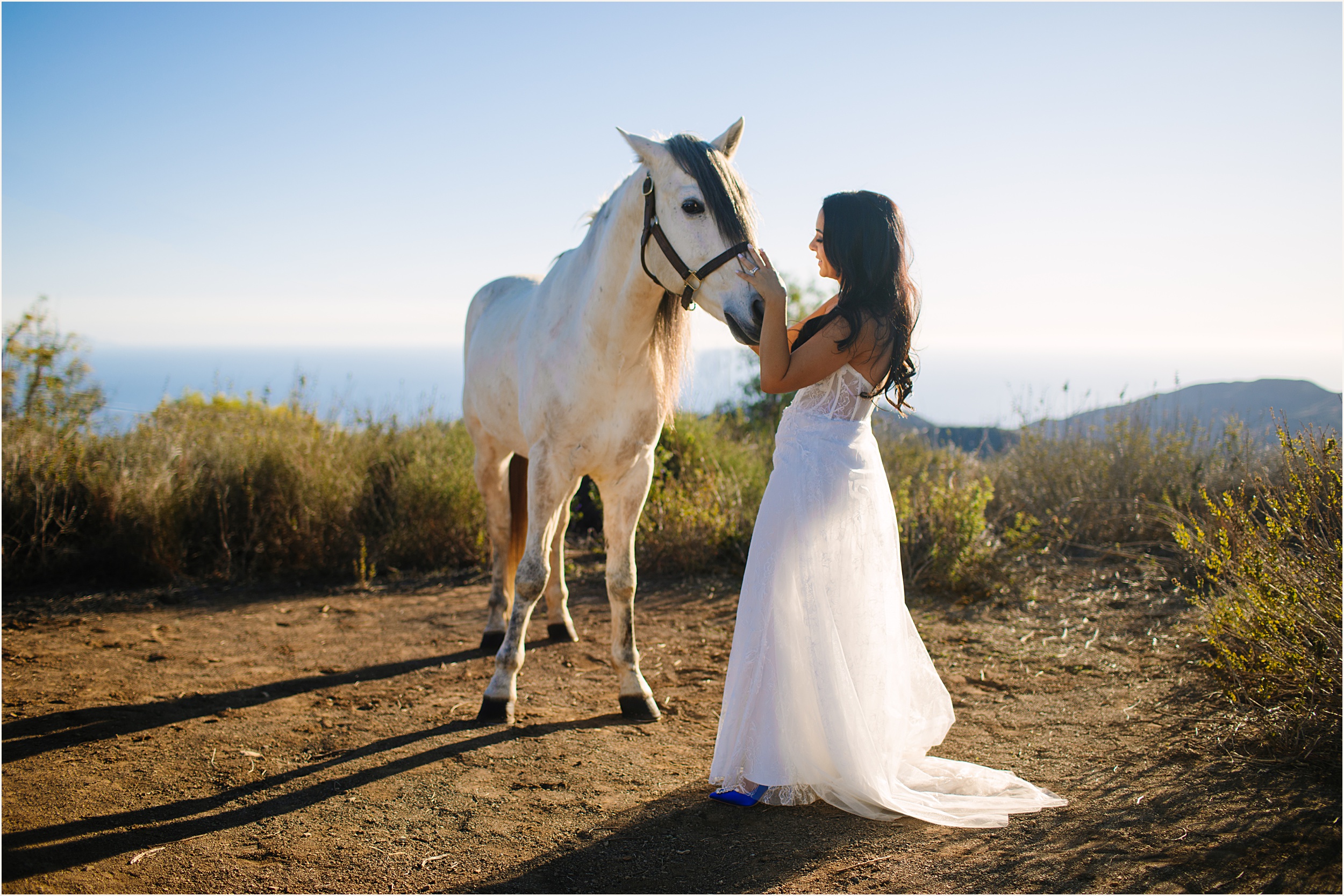 Photo of bride petting a white horse in strapless lace mermaid elopement dress