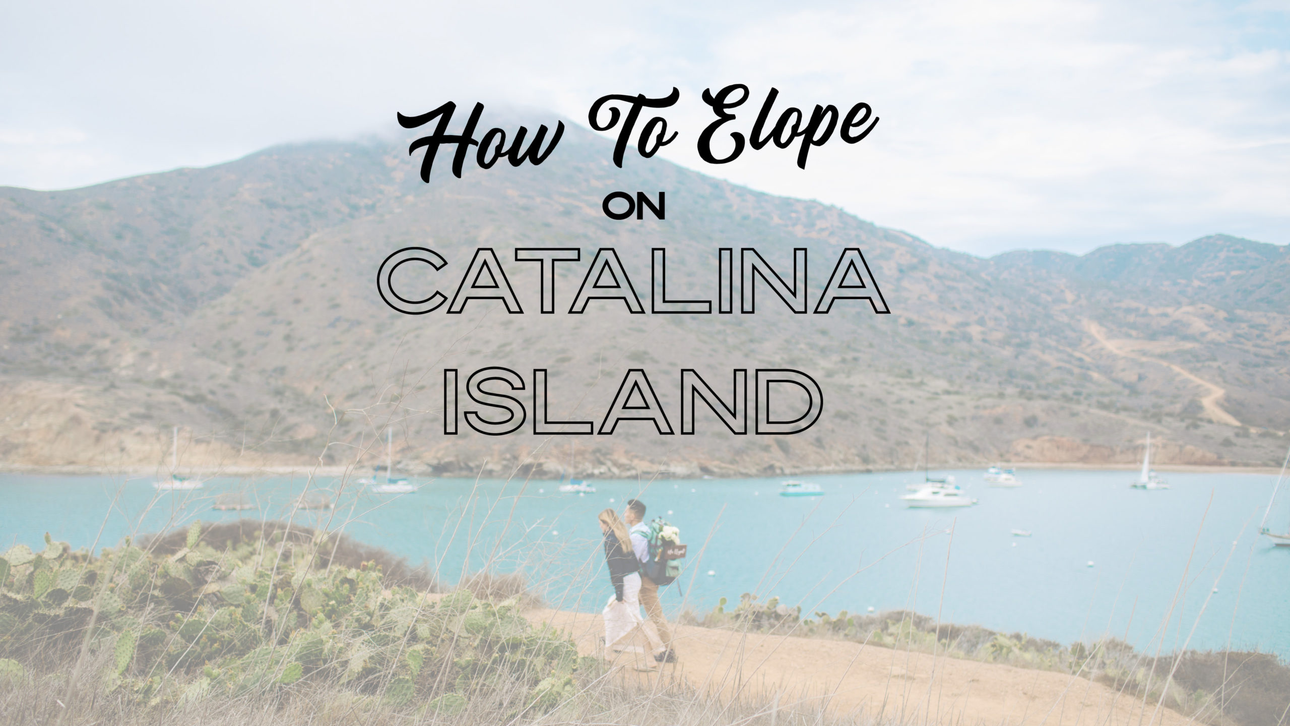How-to-Elope-On-Catalina-Island-scaled Catalina Island Elopement | Your 2023 Guide