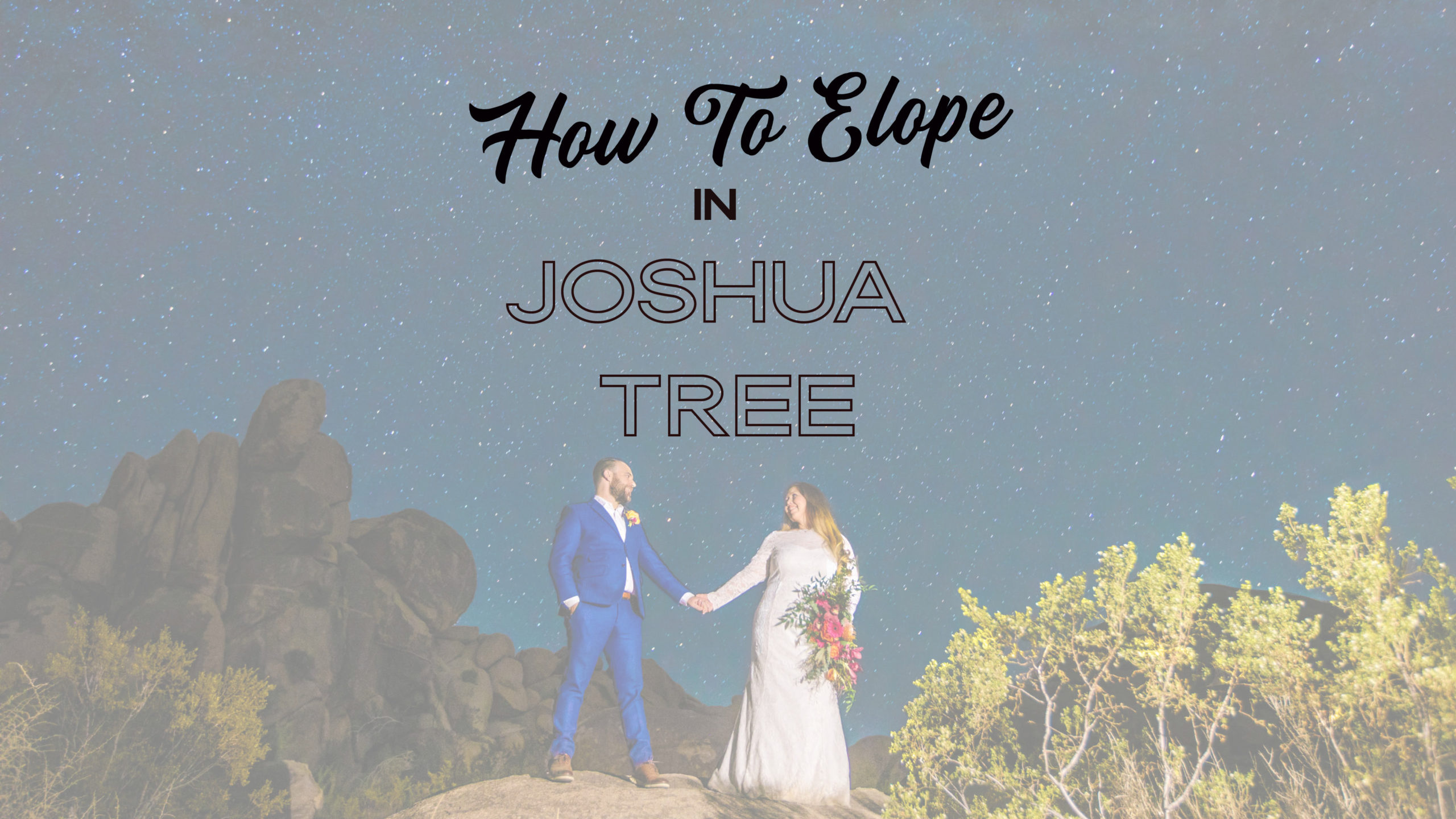 How-to-Elope-in-Joshua-Tree-scaled Joshua Tree Elopement Guide: Where, How & When to Elope to this Dreamy Destination