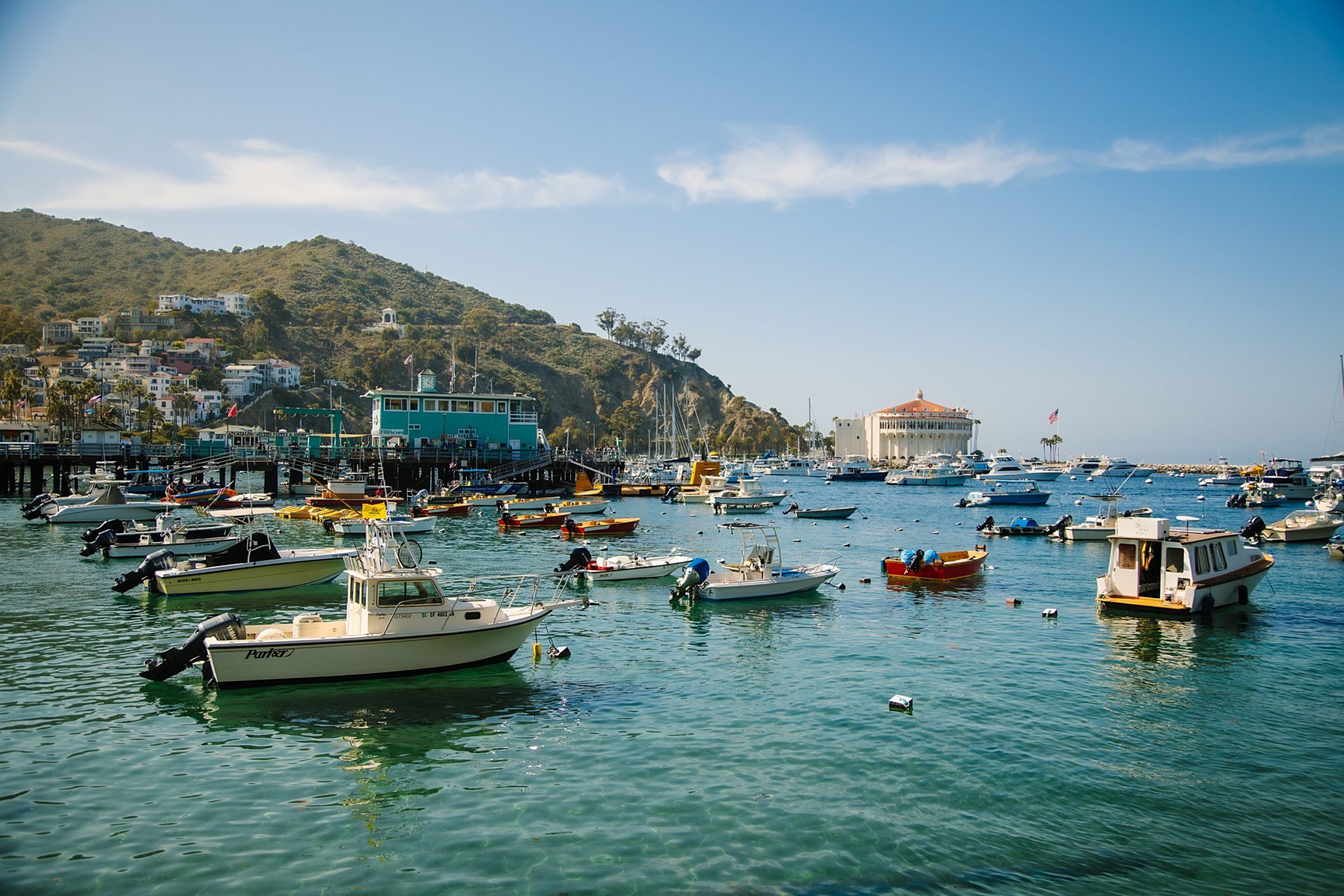 Catalina Island Hiking Elopement Photos | Jennifer Whalen Weddings