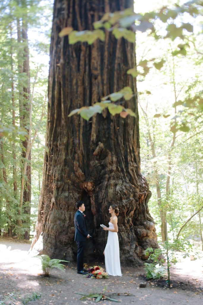 Redwoods-Elopement_Ali-and-Nick_0030 How to Plan Your Dream California Redwood Elopement: A Step-by-Step Guide