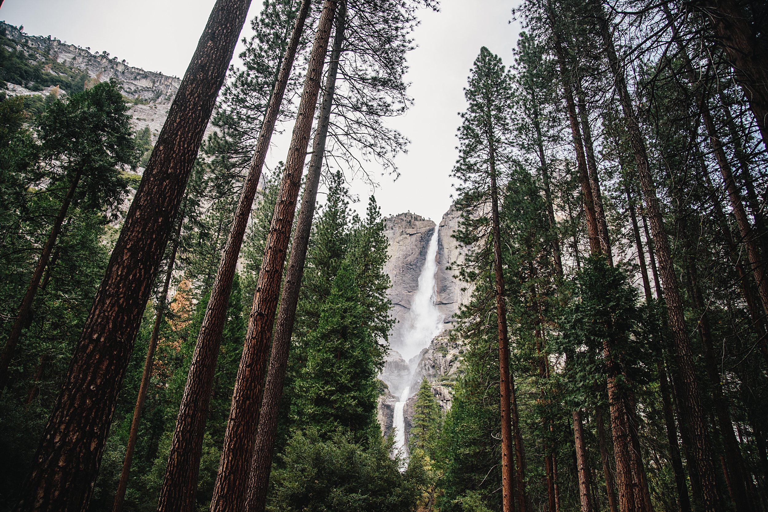 PNW-412 Eloping in Yosemite: Your How-to Guide
