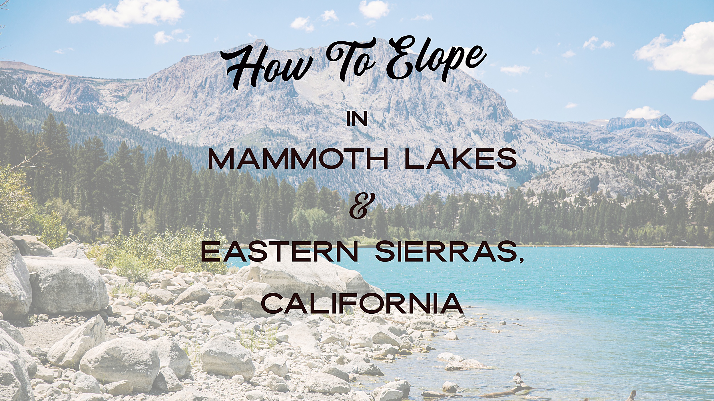 How-to-Elope-in-Mammoth-and-Eastern-sierras-1 How to have an Incredible Eastern Sierras and Mammoth Lake Elopement
