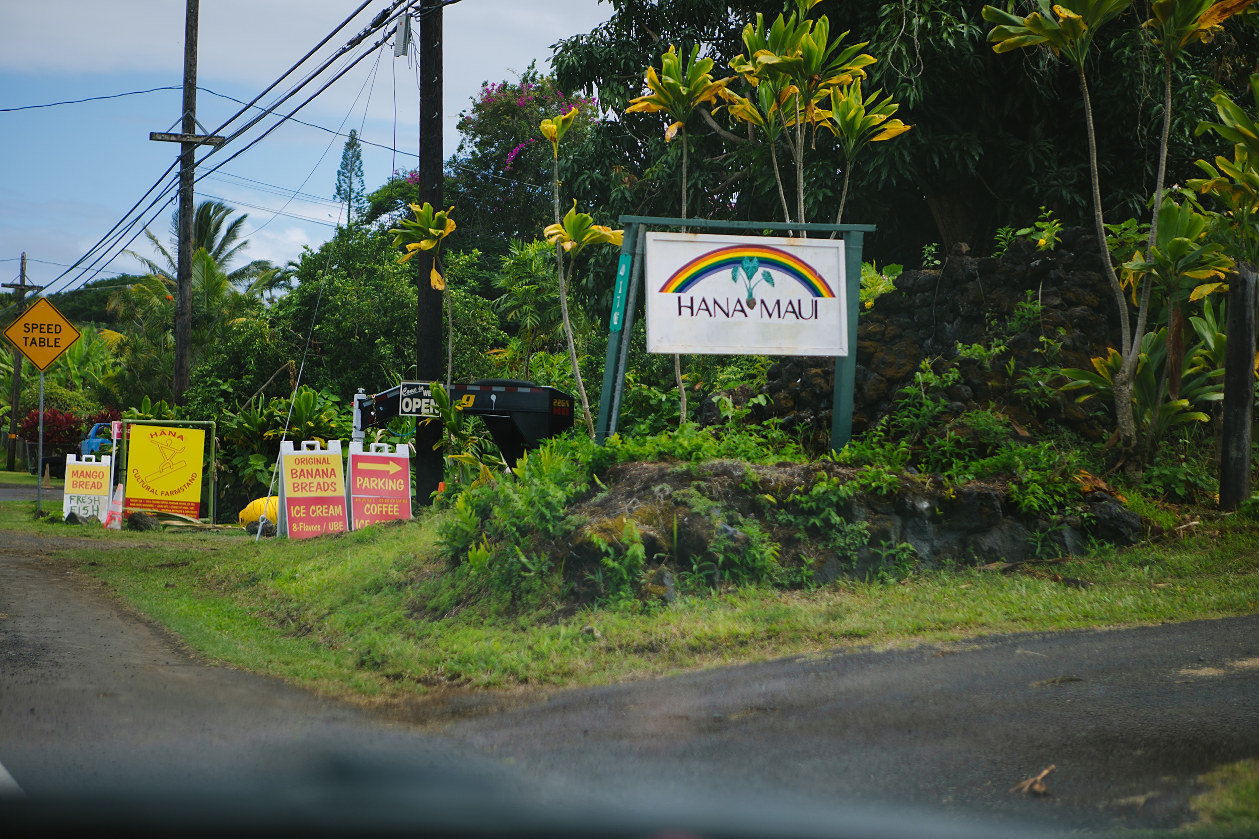 Jock-and-Audrey-6 Incredible Road trip to Hana and Red Sands Beach Elopement in Hawaii￼