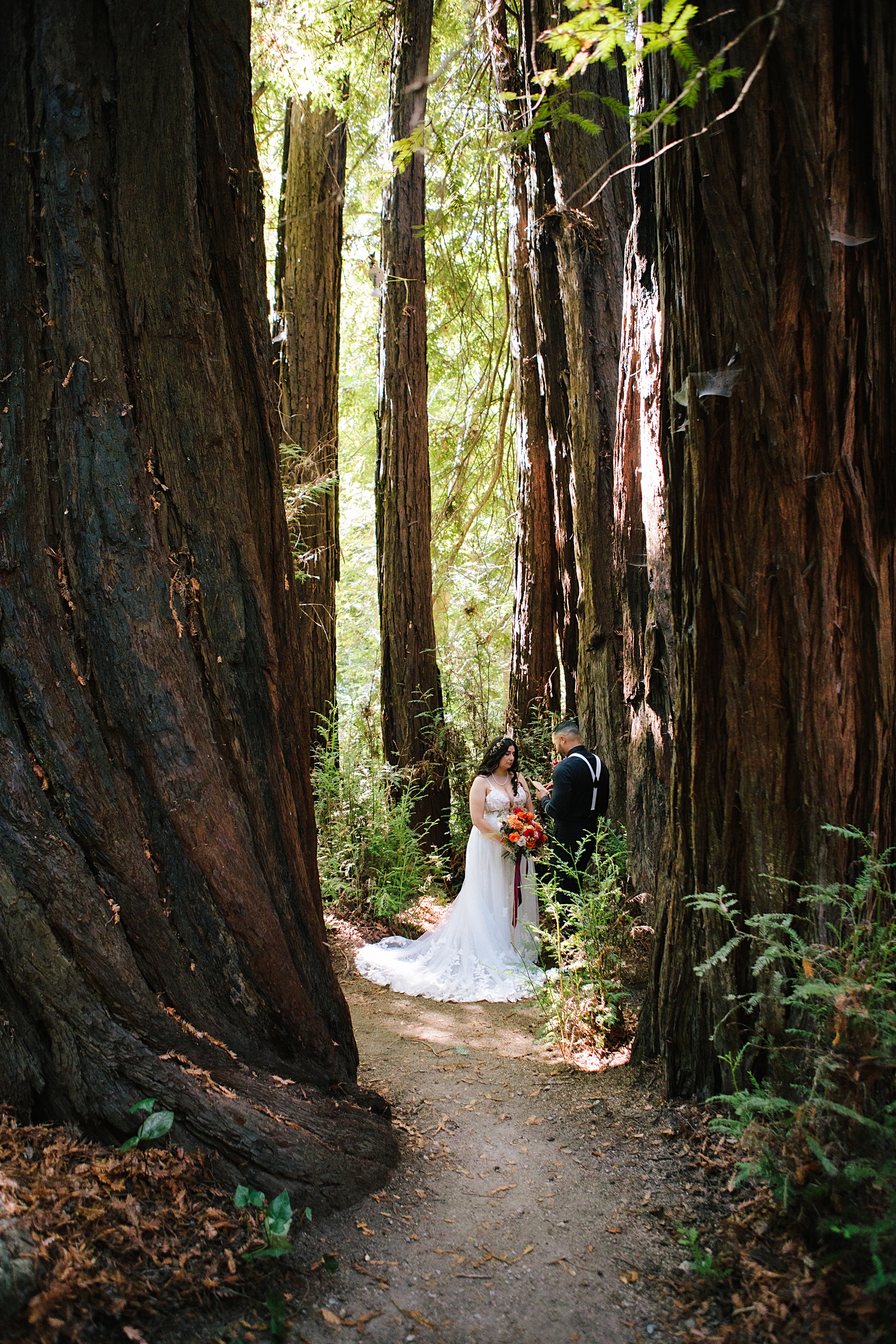 Bea-and-Justin-8 Intimate Redwoods Elopement in Big Sur | Beatriz & Justin￼