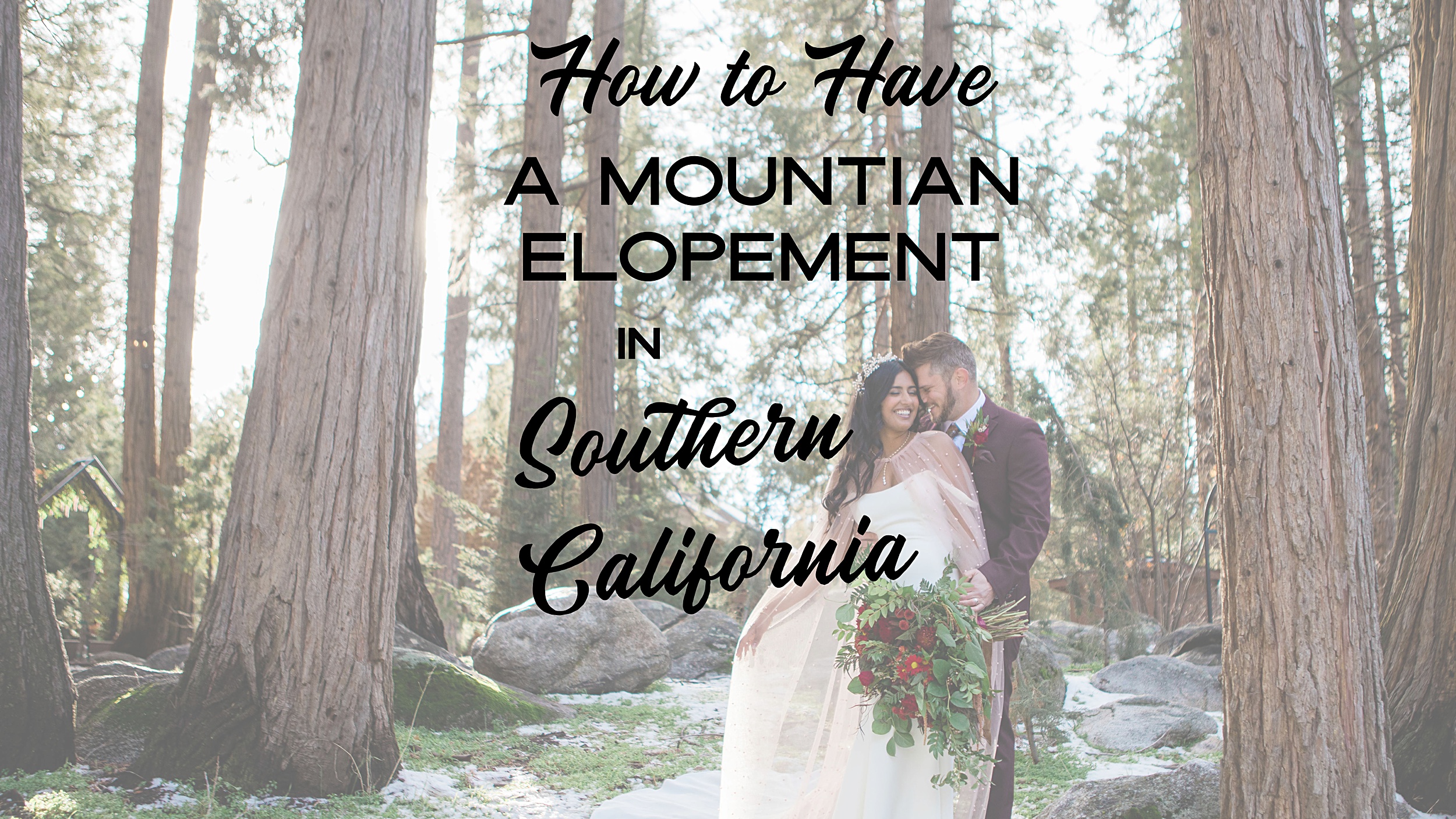 How-to-have-a-mt-elopement-in-s-cal How to Have a Mountain Elopement in Idyllwild California