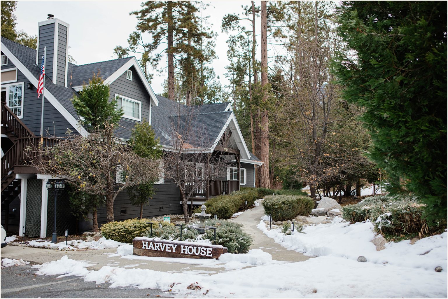 How to Have a Mountain Elopement in Idyllwild California | Jenn Whalen