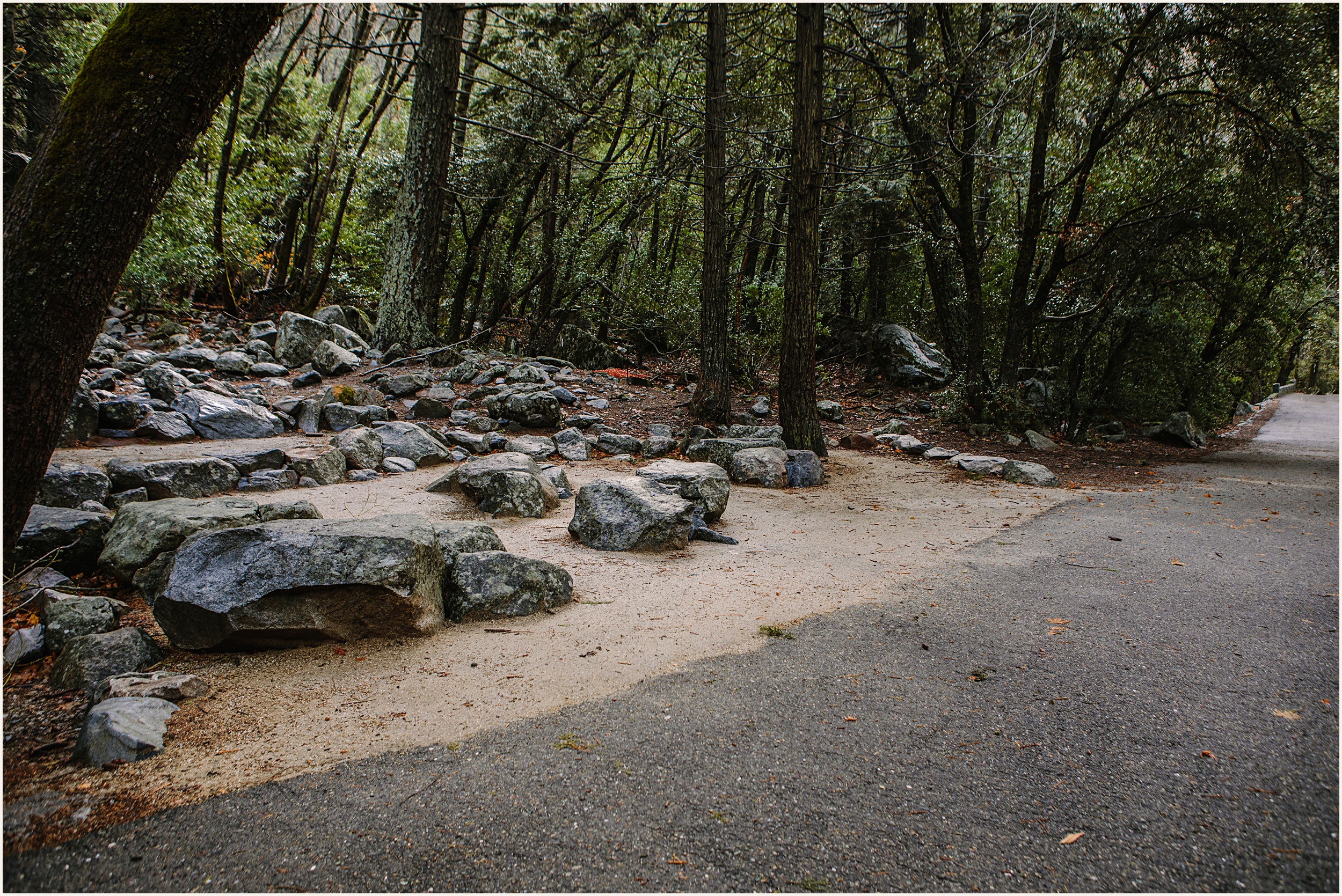 Yosemite-Elopement_Cecilia-and-Ben_0065 The Best Outdoor Yosemite Wedding Locations For Your Elopement