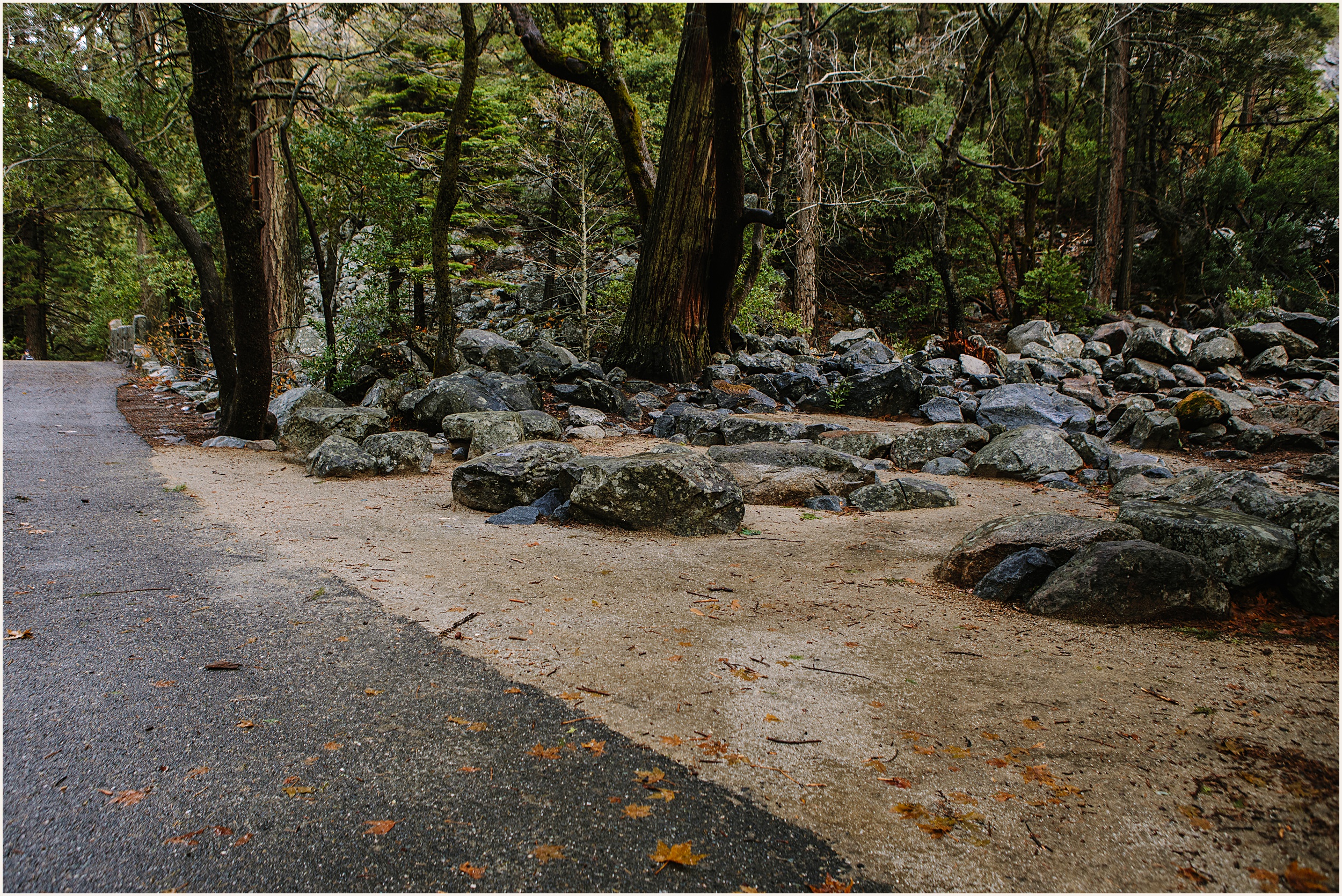 Yosemite-Elopement_Cecilia-and-Ben_0065 The Best Outdoor Yosemite Wedding Locations For Your Elopement