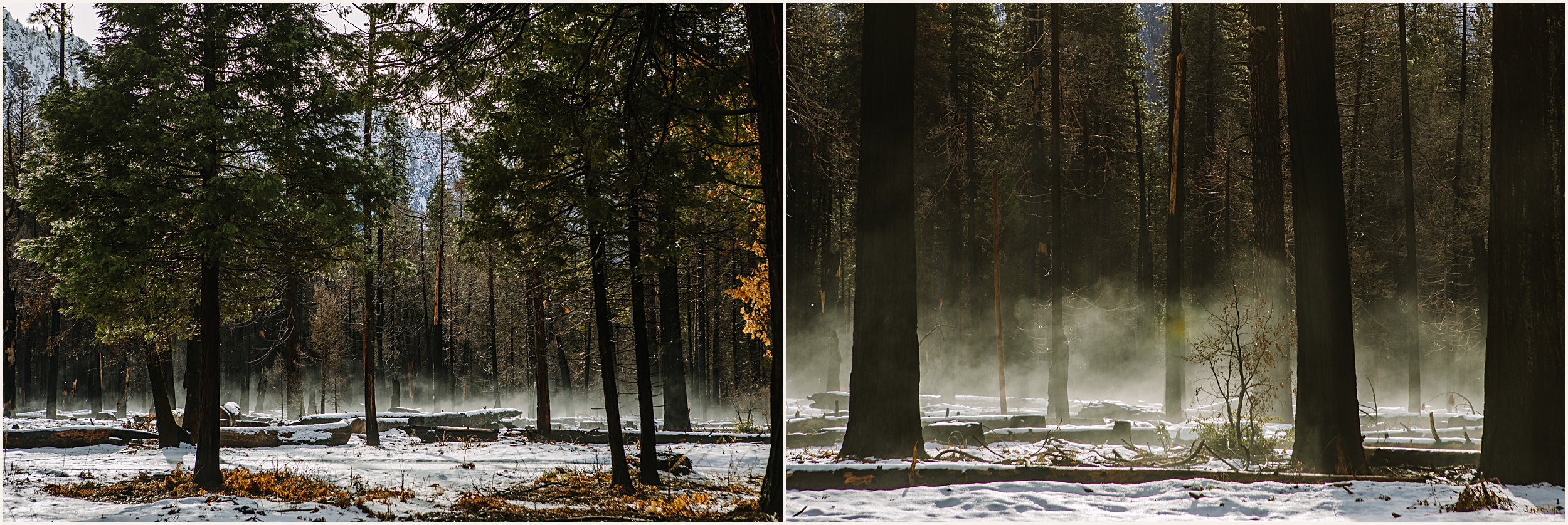 Yosemite-Elopement-Photographer_0012 Unforgettable Winter Yosemite Elopement // Teresa & Joe