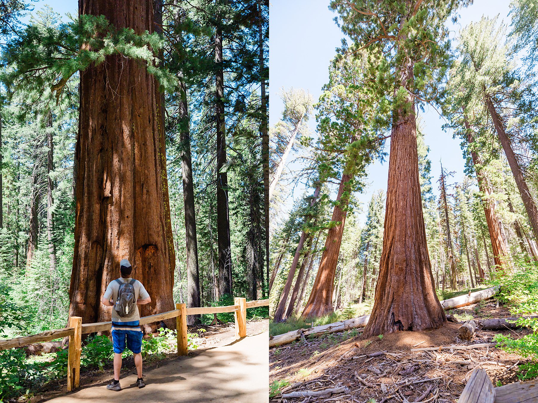 Yosemite-Elopement_Cecilia-and-Ben_0065 The Best Outdoor Yosemite Wedding Locations For Your Elopement