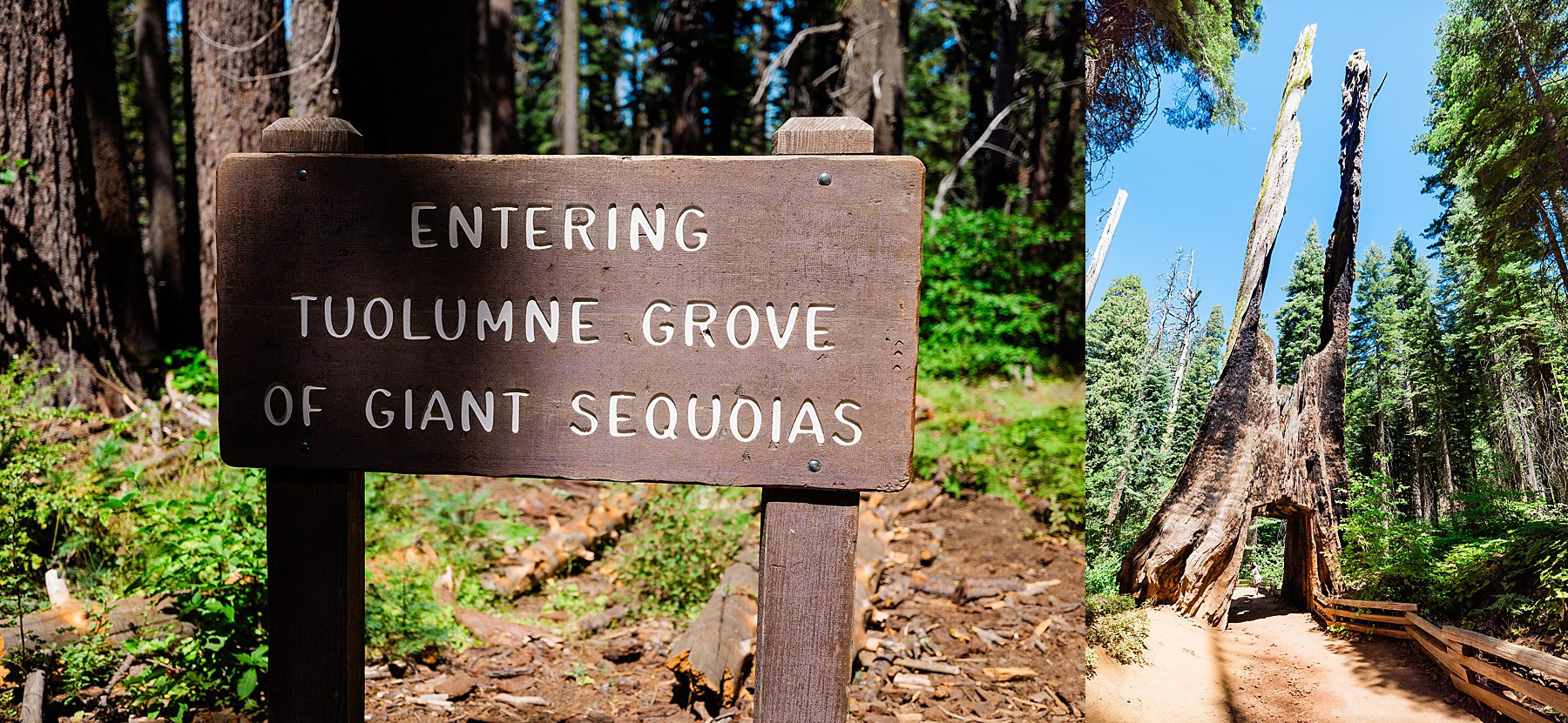 Yosemite-Elopement_Cecilia-and-Ben_0065 The Best Outdoor Yosemite Wedding Locations For Your Elopement