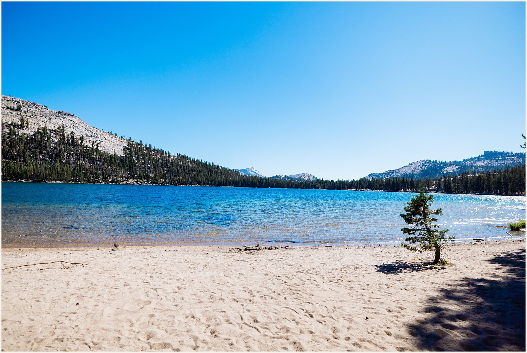 Yosemite-Elopement_Cecilia-and-Ben_0065 The Best Outdoor Yosemite Wedding Locations For Your Elopement