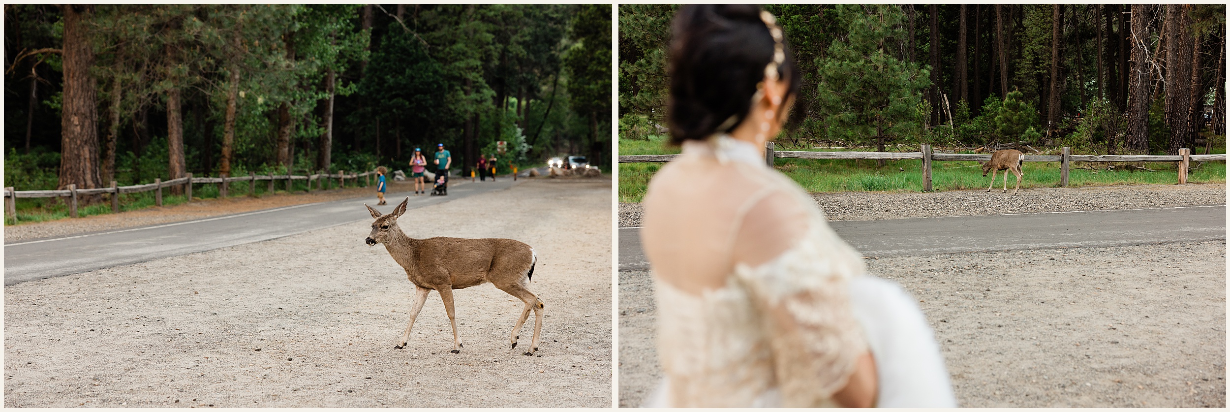 Spring-Yosemite-Elopement_Jinhee-and-Jason_0017-1024x684 Jinhee & Jason Get Married In Yosemite