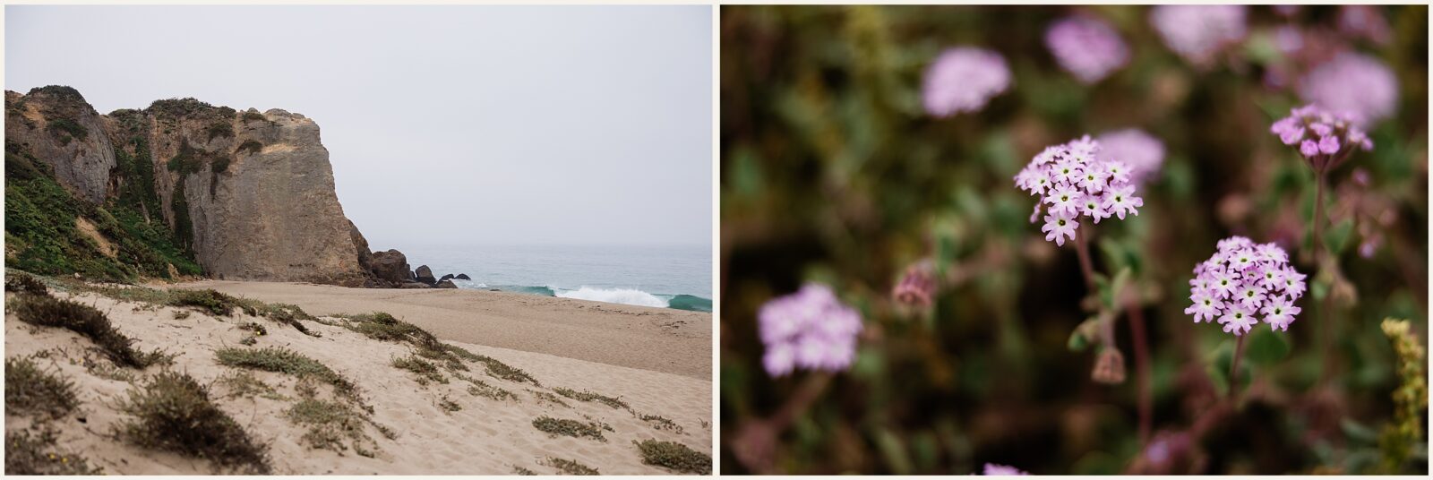 Malibu-Elopement_Abigail-and-Andy_0030 Intimate California Beach Wedding // Abigail & Andy