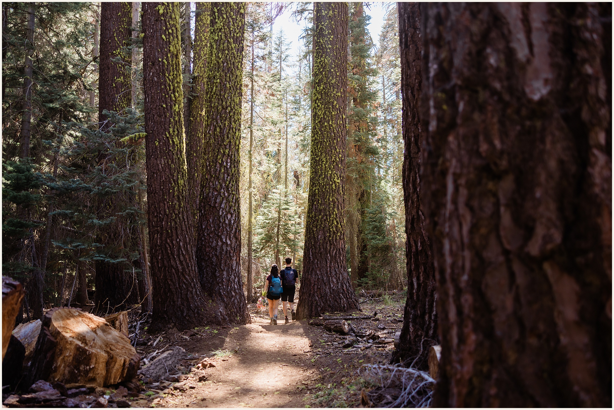 Yosemite-Elopement-Photographer_Iga-and-Arek_0091 Yosemite Sunrise + Sunset Elopement // Iga & Arek