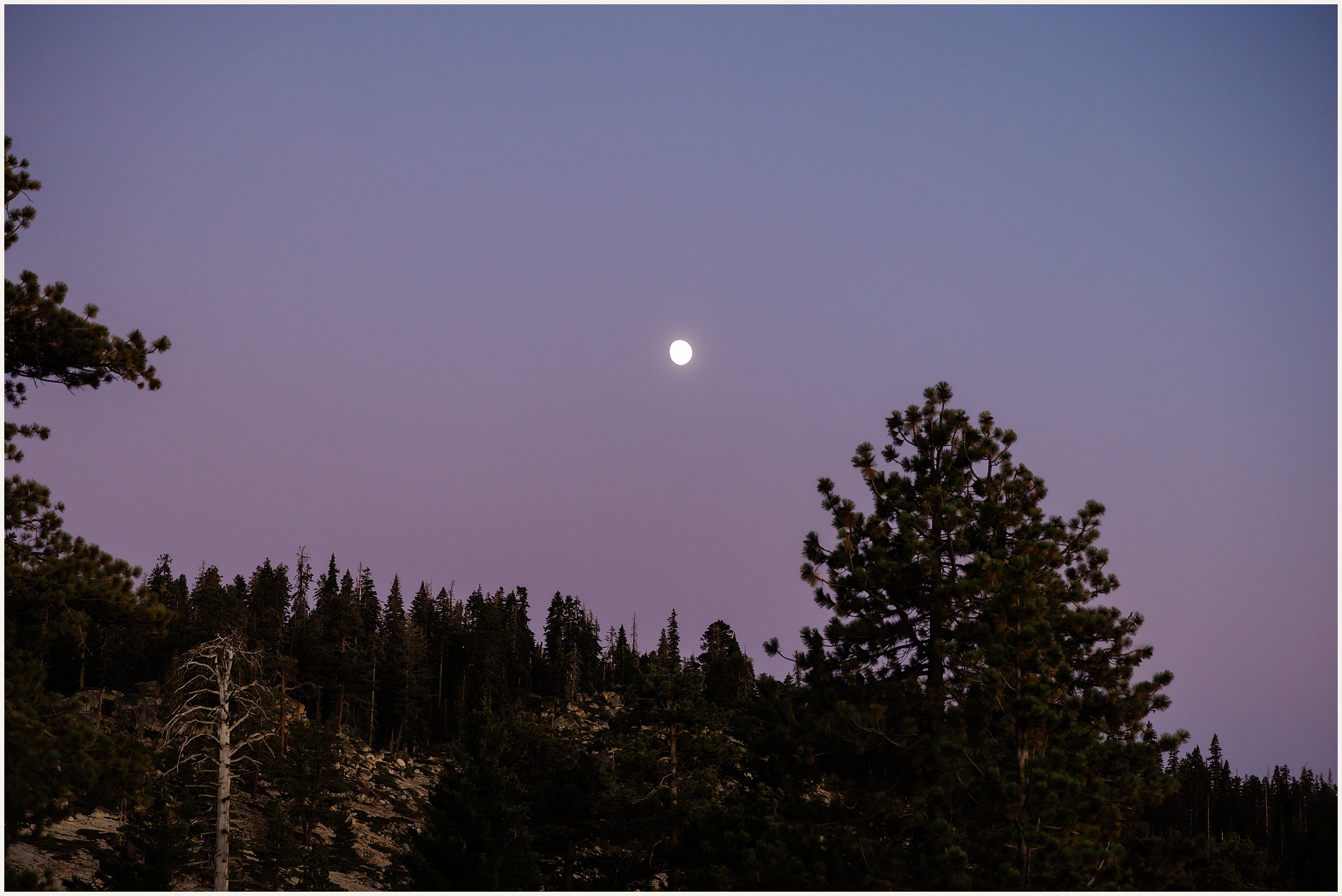 Yosemite-Elopement-Photographer_Makayla-and-Sam_0064 LGBTQ+ Yosemite Elopement // Makayla & Sam