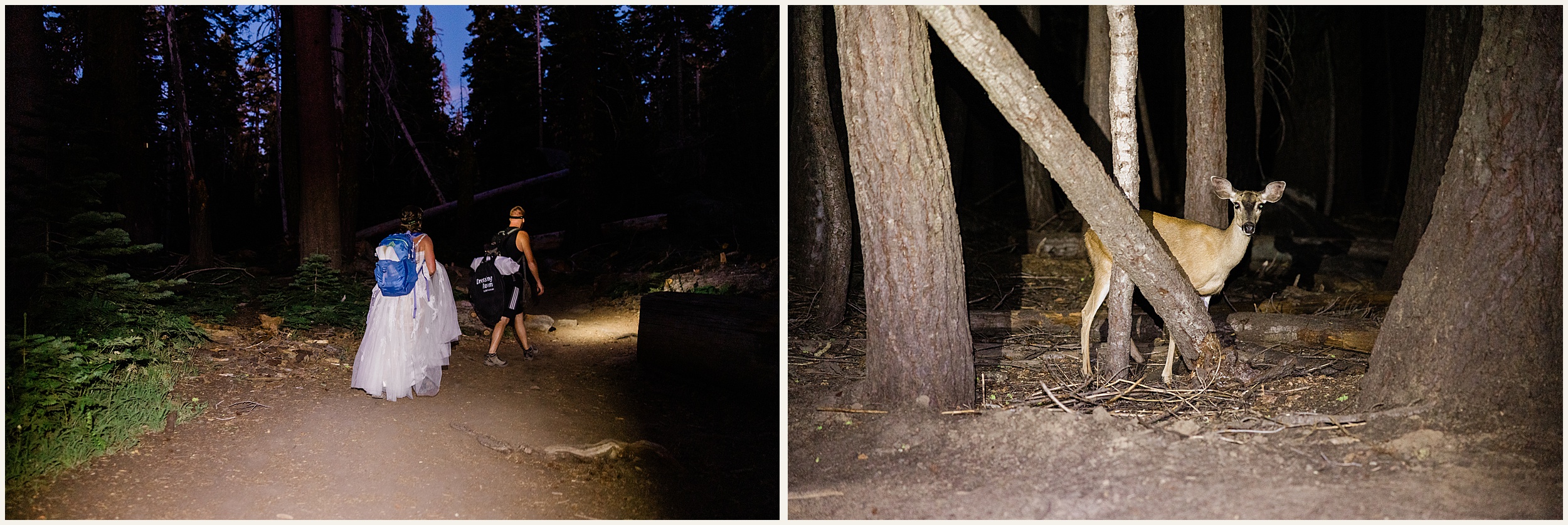 Yosemite-Elopement_Megan-and-Curtis_0043 Yosemite Mountain Hiking Elopement // Megan & Curtis