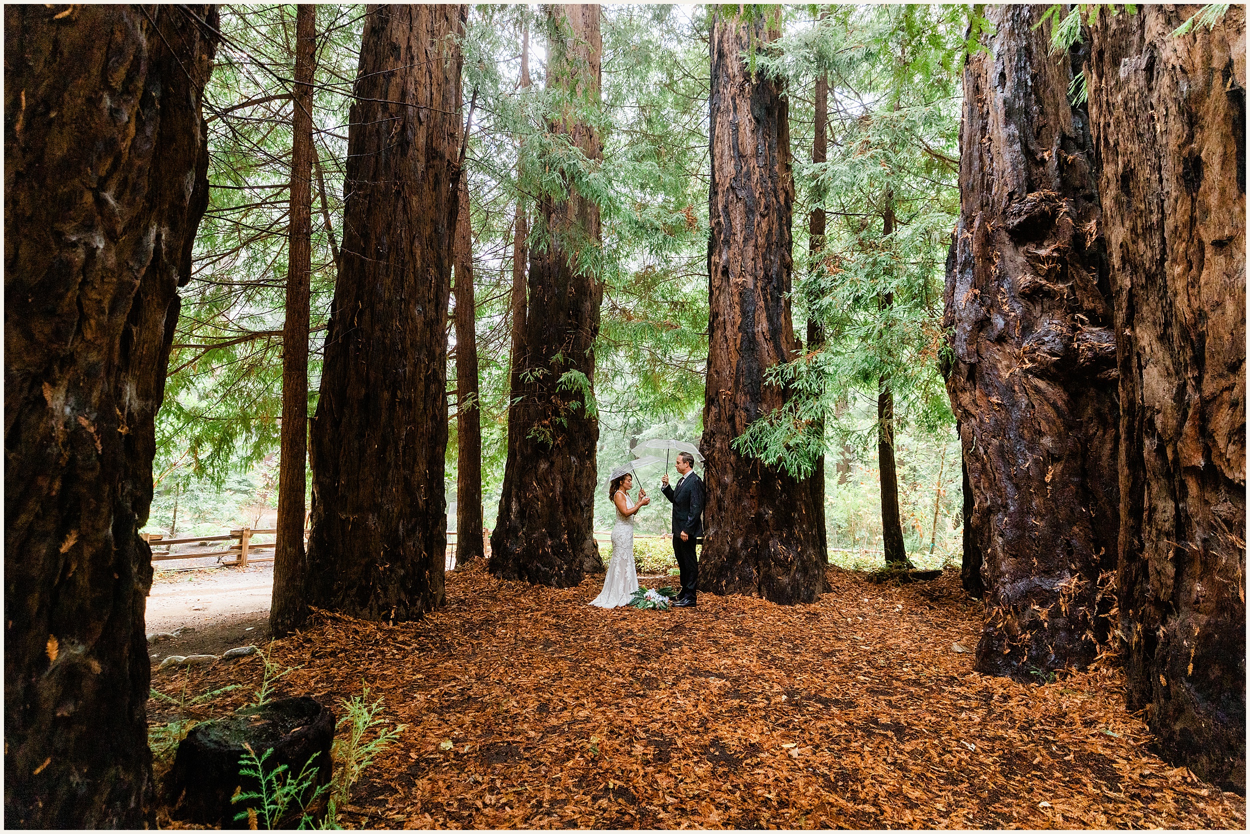 Big-Sur-Elopement_Jennifer-and-Shane_0054 Breathtaking Big Sur Wedding Spots // Jennifer and Shane