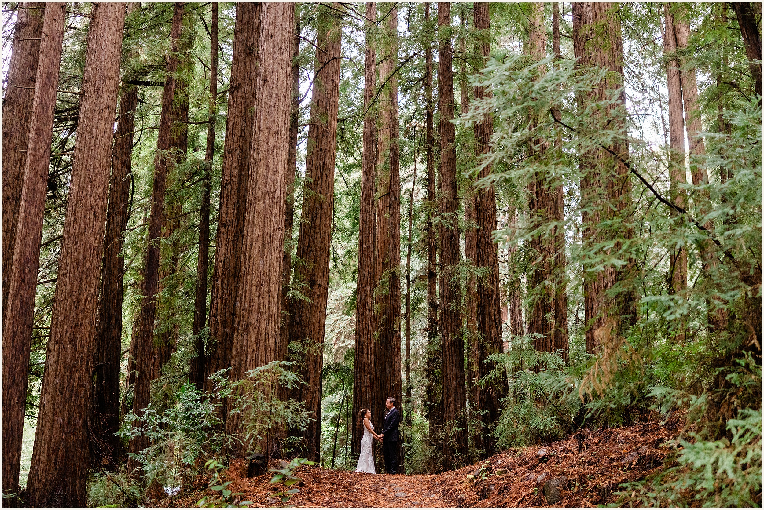 Big-Sur-Elopement_Jennifer-and-Shane_0054 Breathtaking Big Sur Wedding Spots // Jennifer and Shane