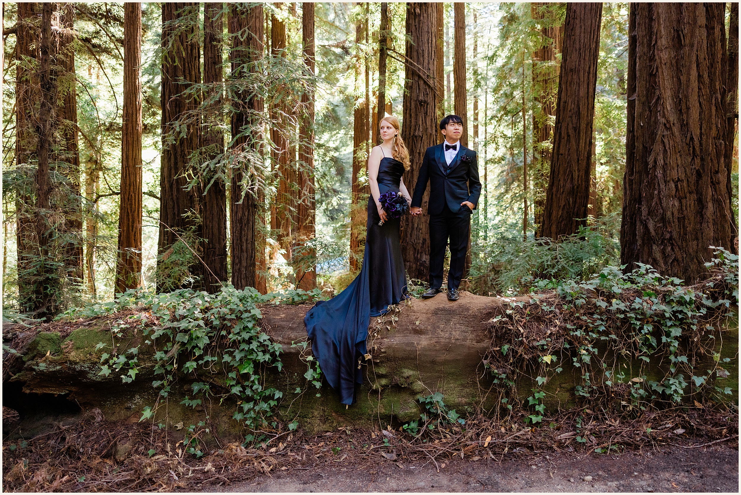 Big-Sur-Elopement_Shelby-and-King_0047 Moody and Elegant Big Sur Elopement in a Black Wedding Dress // Shelby & King