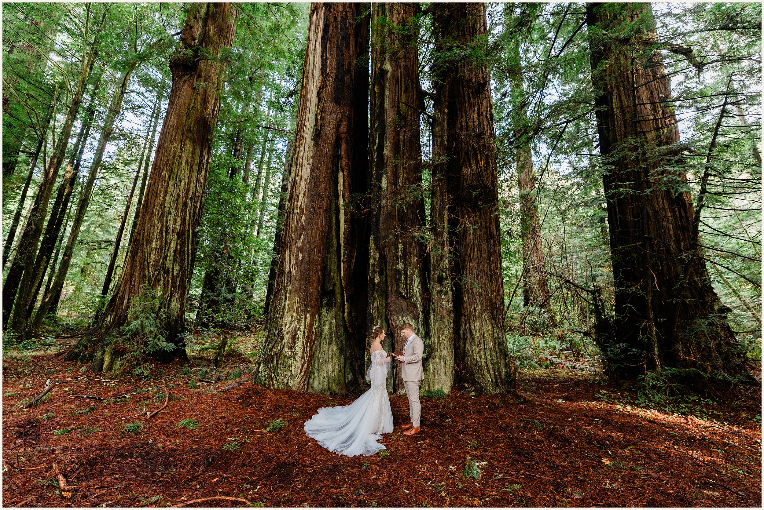 Redwood-Elopement_Caroline-Ashley-and-Will_0065 Dreamy Redwood Elopement Wedding In A Lush Forest // Caroline Ashley and Will