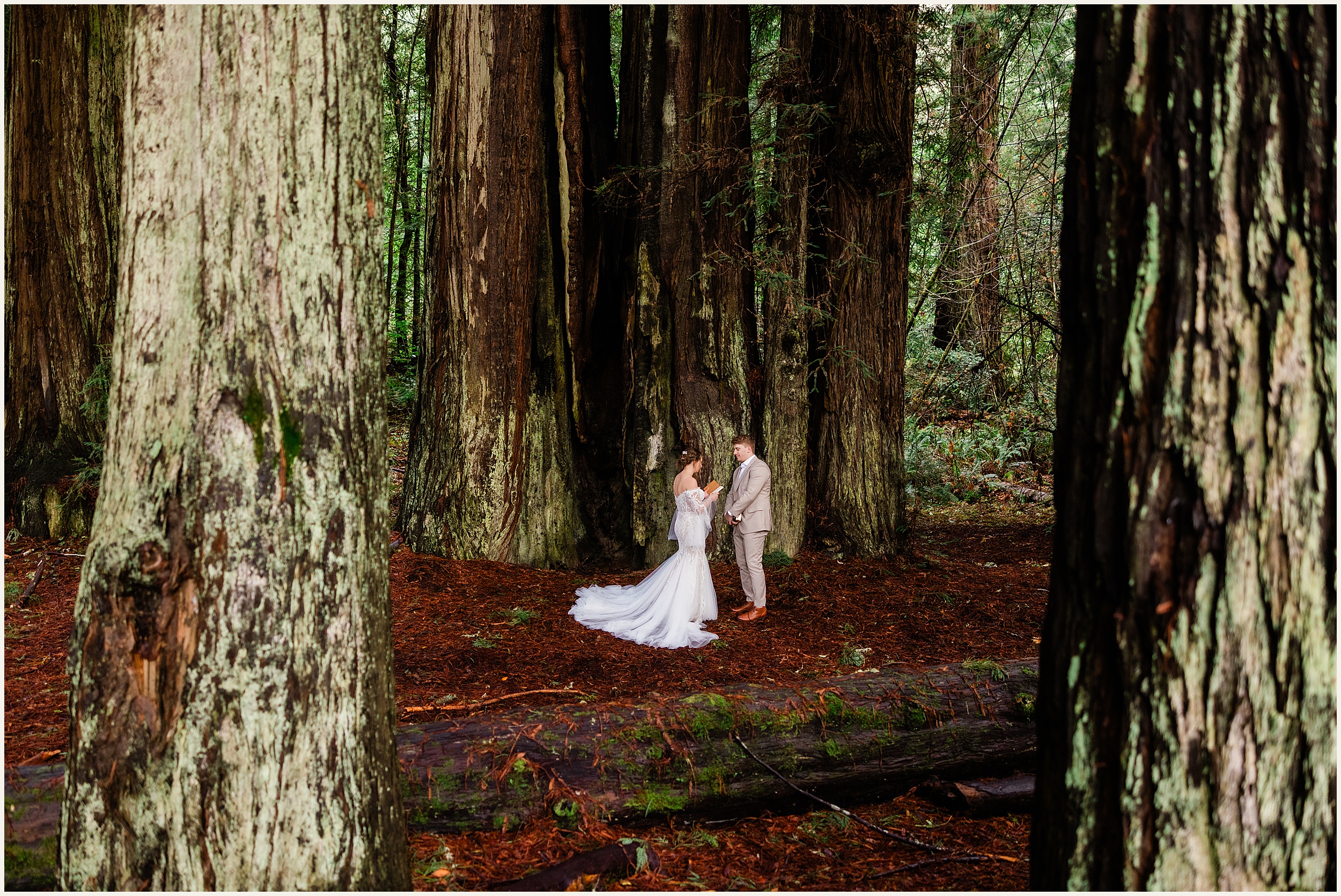 Redwood-Elopement_Caroline-Ashley-and-Will_0065 Dreamy Redwood Elopement Wedding In A Lush Forest // Caroline Ashley and Will