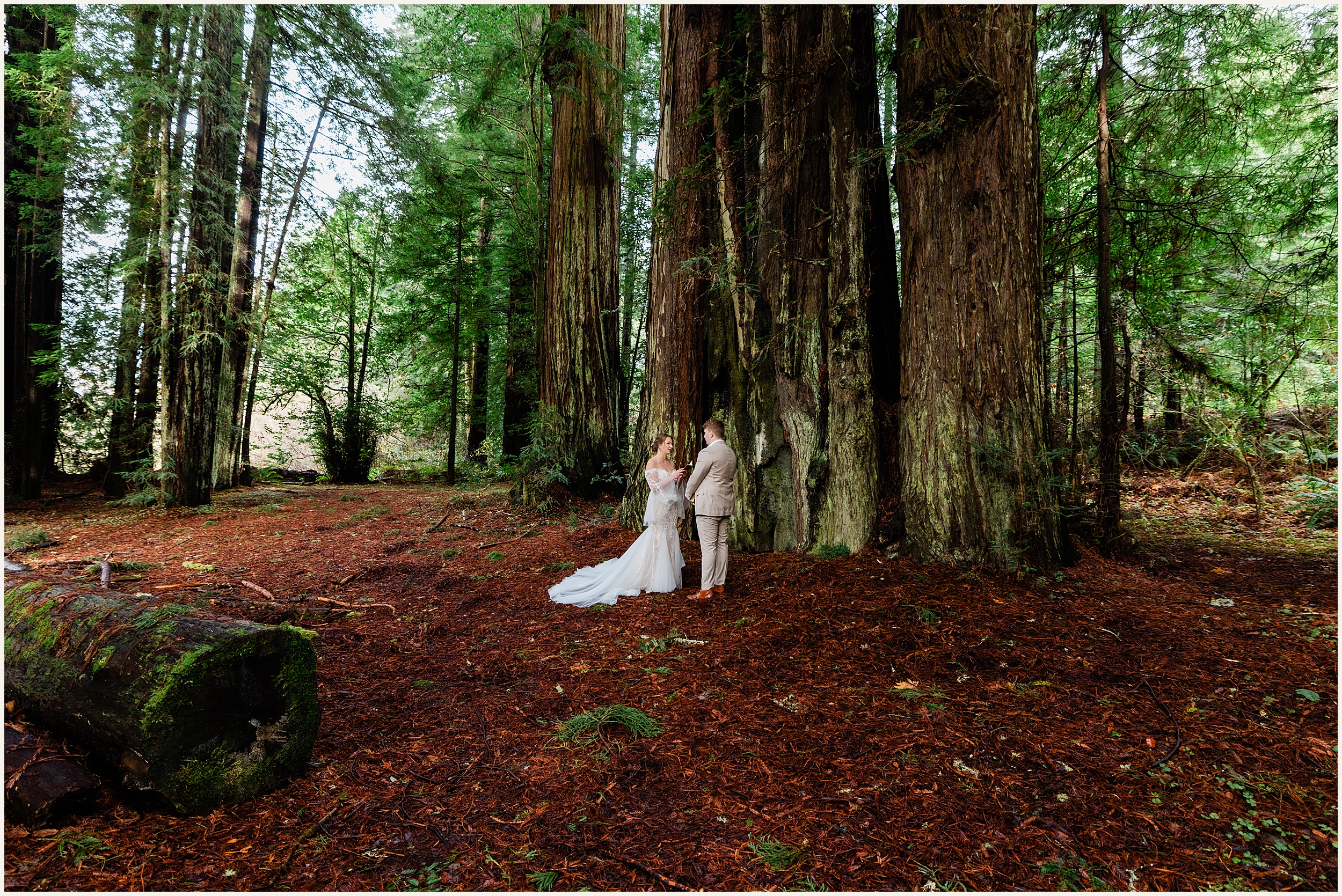 Redwood-Elopement_Caroline-Ashley-and-Will_0065 Dreamy Redwood Elopement Wedding In A Lush Forest // Caroline Ashley and Will