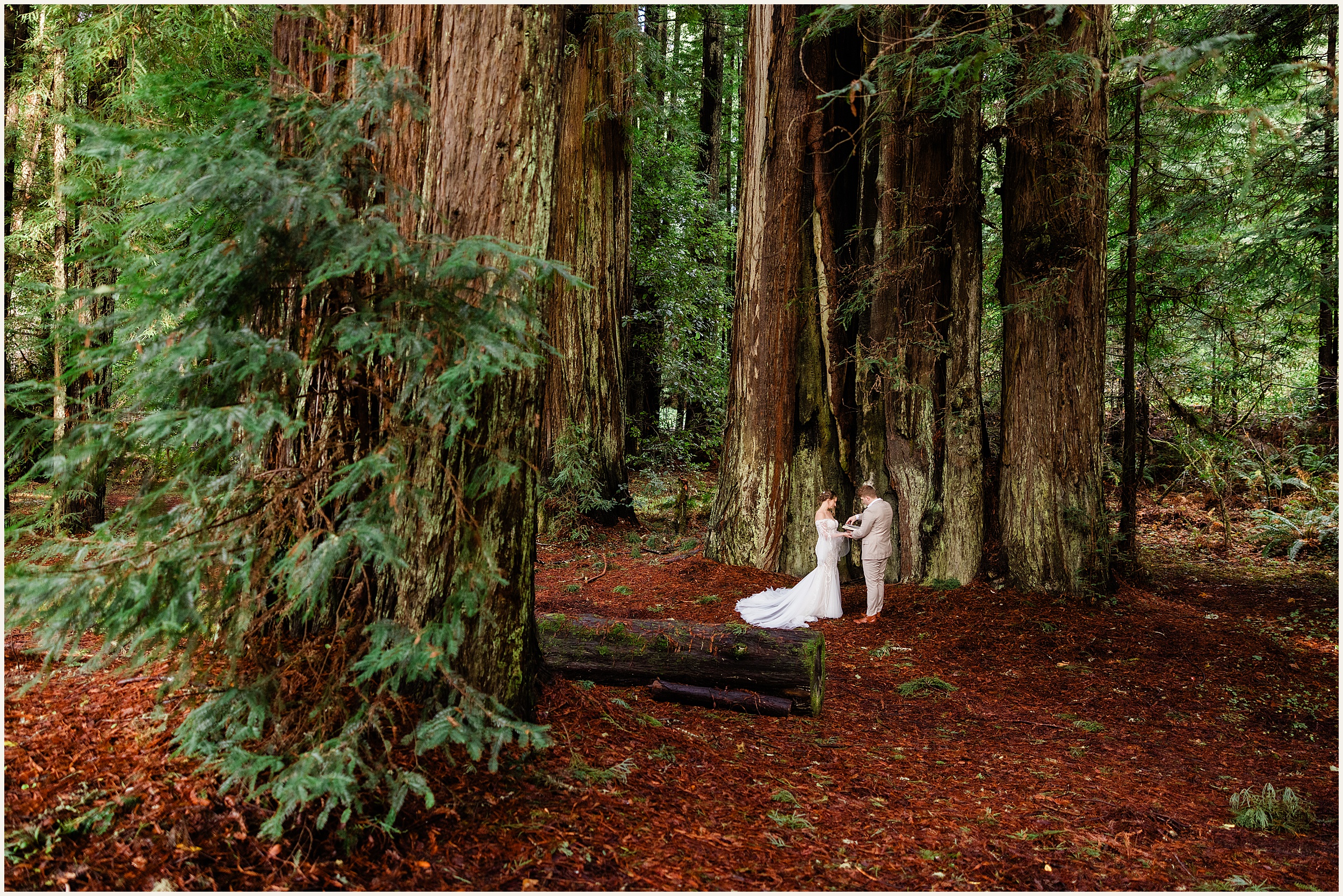 Redwood-Elopement_Caroline-Ashley-and-Will_0065 Dreamy Redwood Elopement Wedding In A Lush Forest // Caroline Ashley and Will