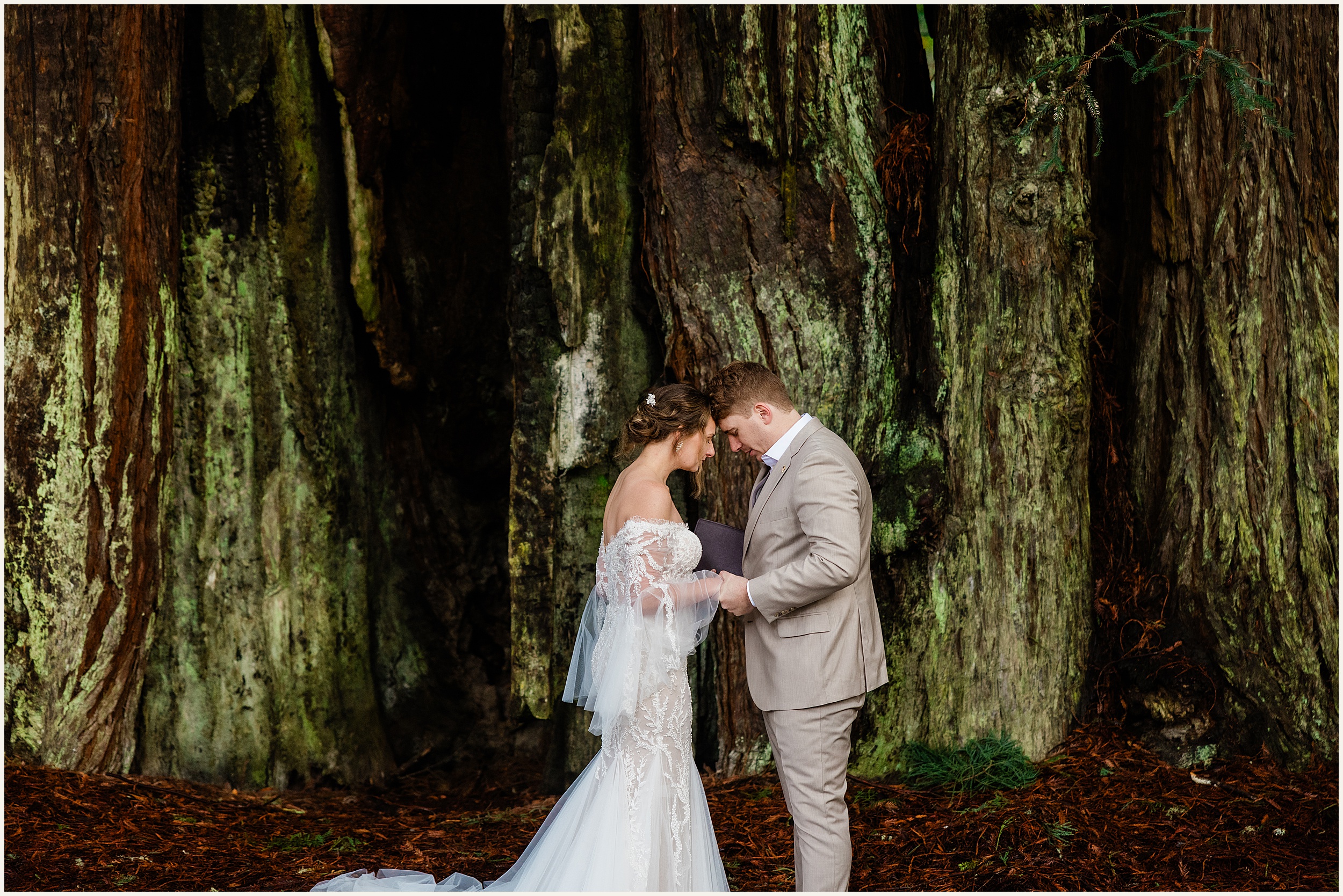 Redwood-Elopement_Caroline-Ashley-and-Will_0065 Dreamy Redwood Elopement Wedding In A Lush Forest // Caroline Ashley and Will