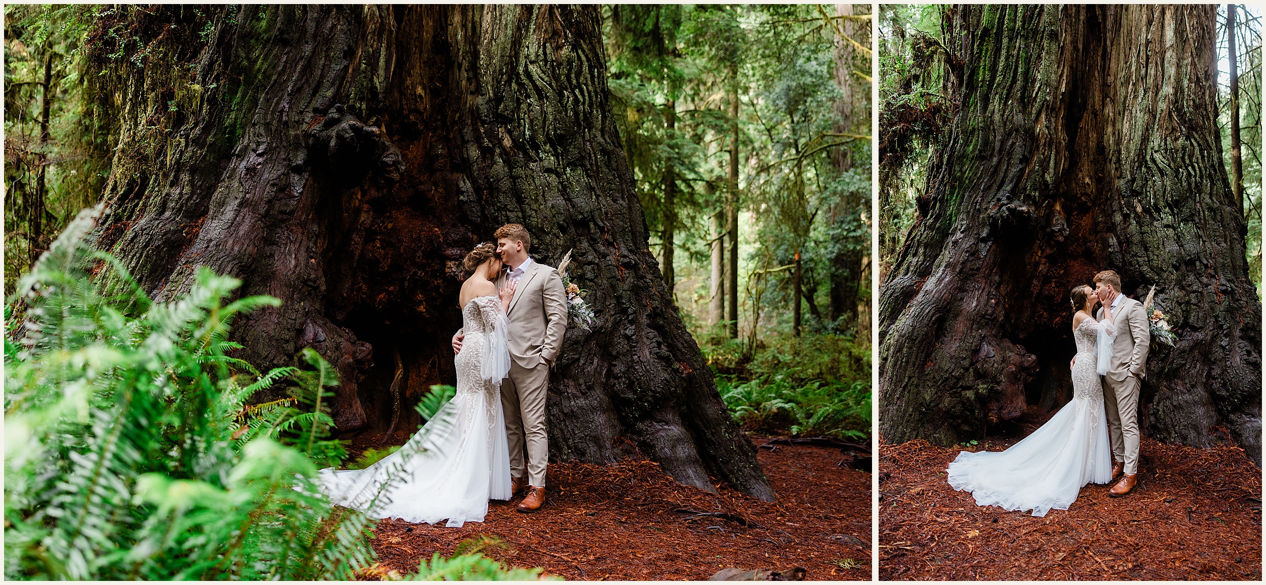 Redwood-Elopement_Caroline-Ashley-and-Will_0065 Dreamy Redwood Elopement Wedding In A Lush Forest // Caroline Ashley and Will