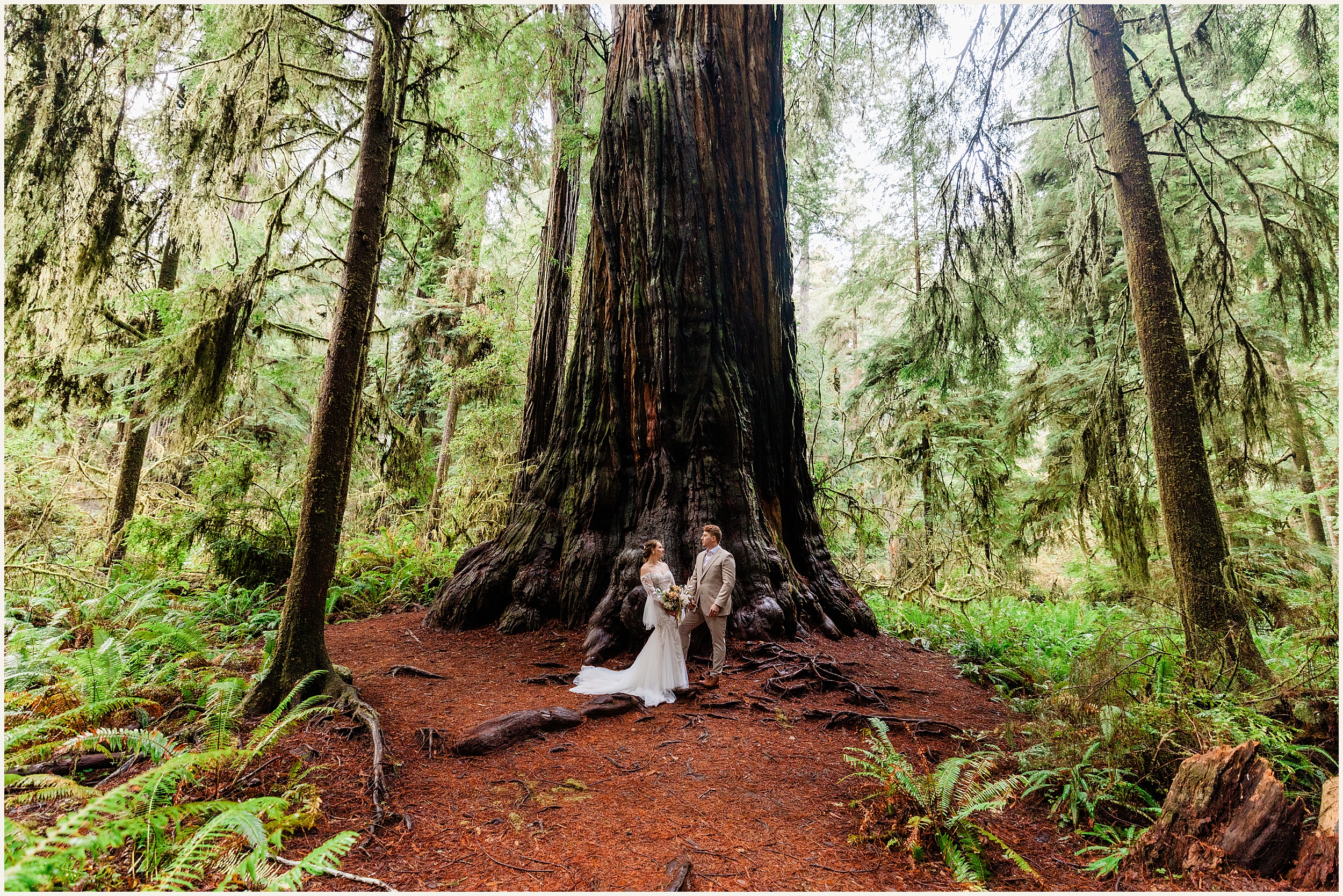 Redwood-Elopement_Caroline-Ashley-and-Will_0065 Dreamy Redwood Elopement Wedding In A Lush Forest // Caroline Ashley and Will