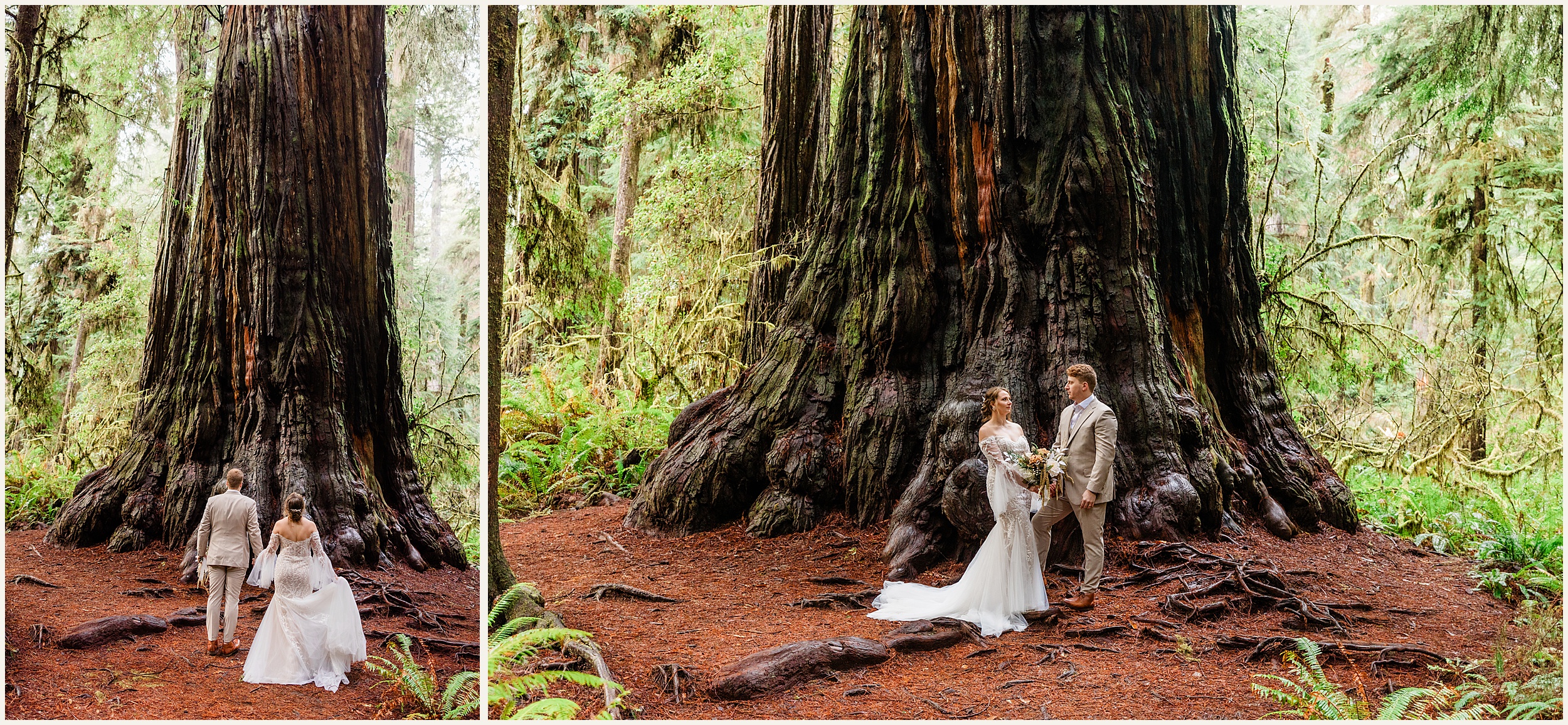 Redwood-Elopement_Caroline-Ashley-and-Will_0065 Dreamy Redwood Elopement Wedding In A Lush Forest // Caroline Ashley and Will