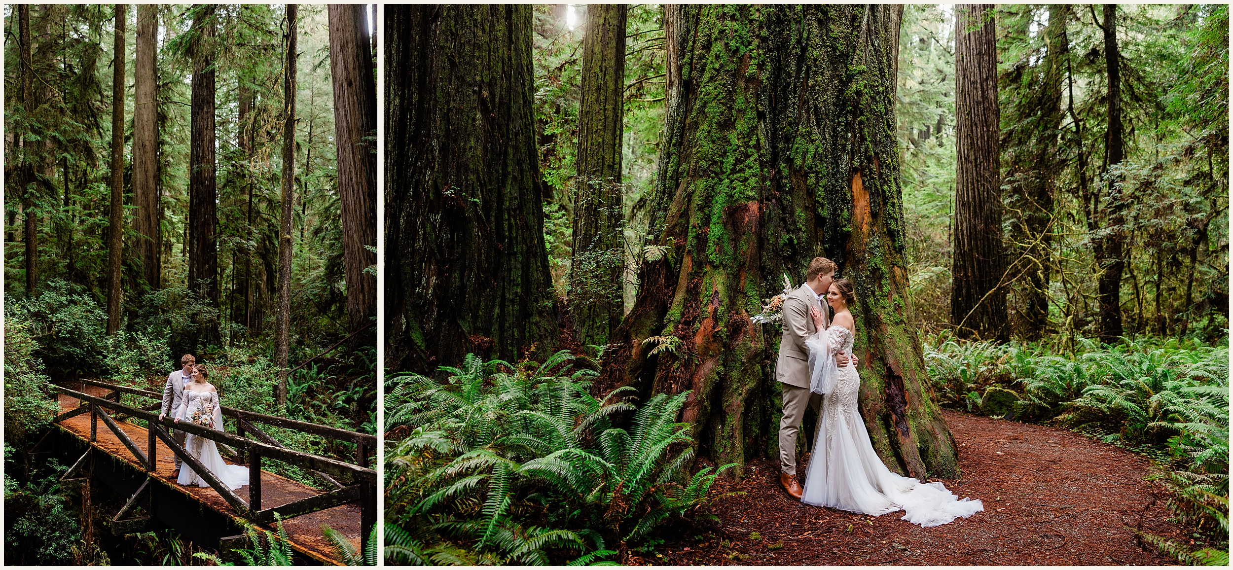 Redwood-Elopement_Caroline-Ashley-and-Will_0065 Dreamy Redwood Elopement Wedding In A Lush Forest // Caroline Ashley and Will