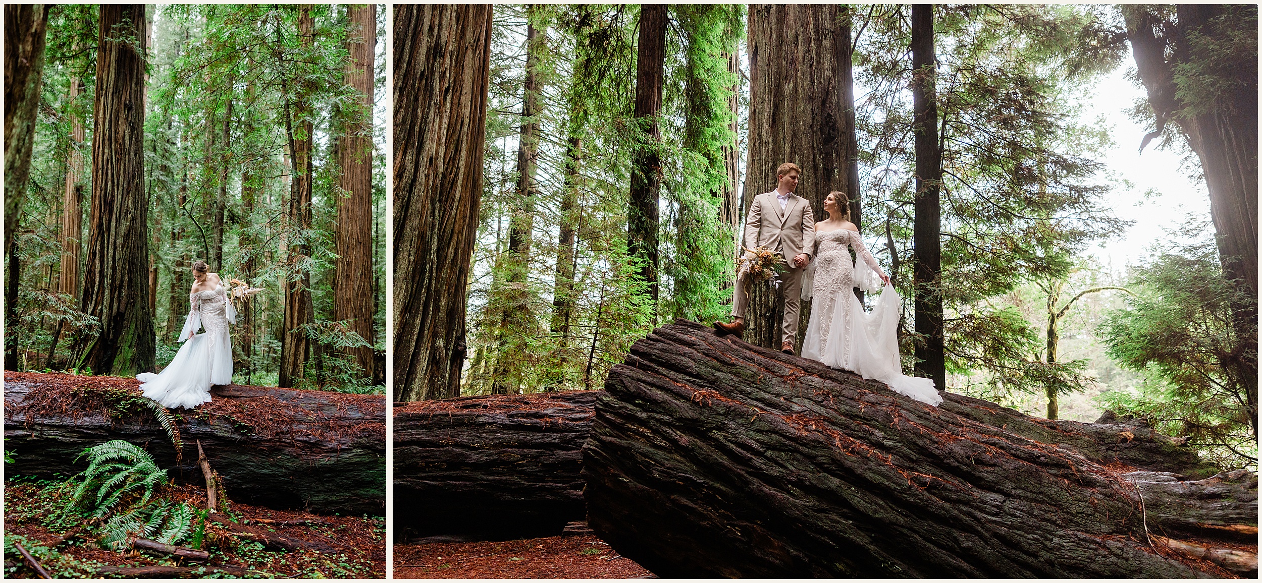 Redwood-Elopement_Caroline-Ashley-and-Will_0065 Dreamy Redwood Elopement Wedding In A Lush Forest // Caroline Ashley and Will