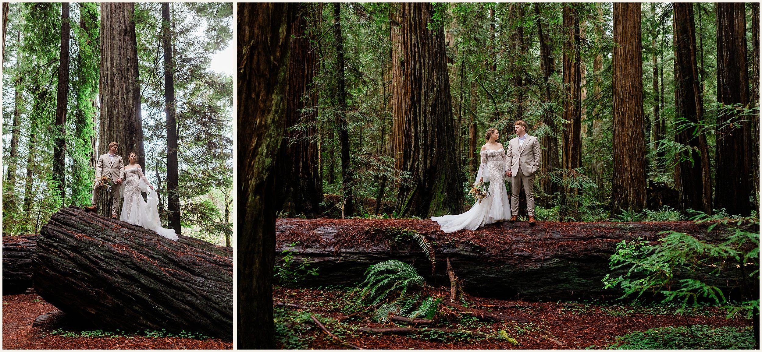 Redwood-Elopement_Caroline-Ashley-and-Will_0065 Dreamy Redwood Elopement Wedding In A Lush Forest // Caroline Ashley and Will