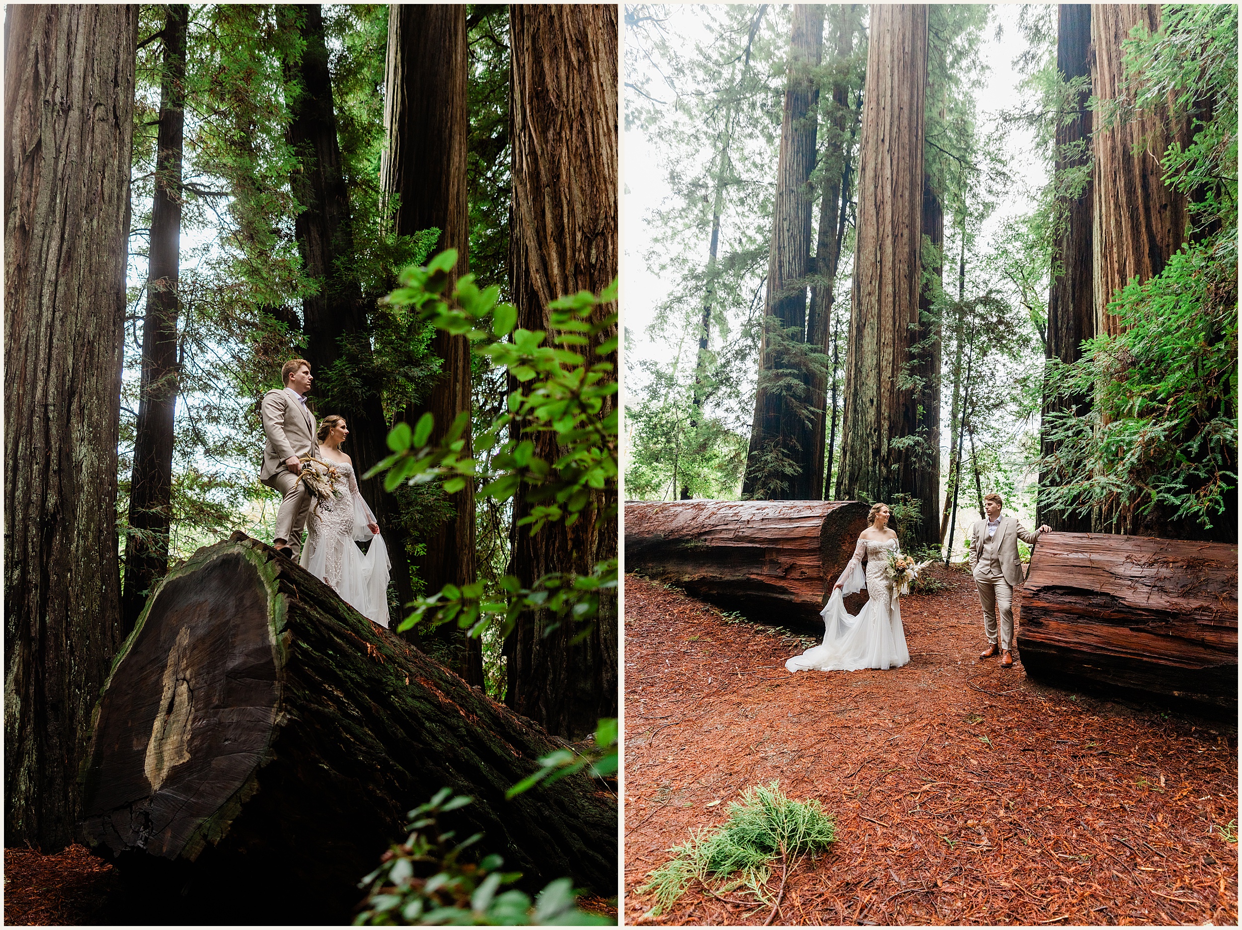 Redwood-Elopement_Caroline-Ashley-and-Will_0065 Dreamy Redwood Elopement Wedding In A Lush Forest // Caroline Ashley and Will