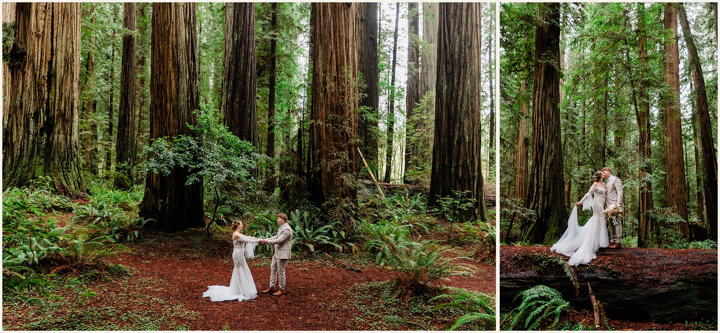 Redwood-Elopement_Caroline-Ashley-and-Will_0065 Dreamy Redwood Elopement Wedding In A Lush Forest // Caroline Ashley and Will