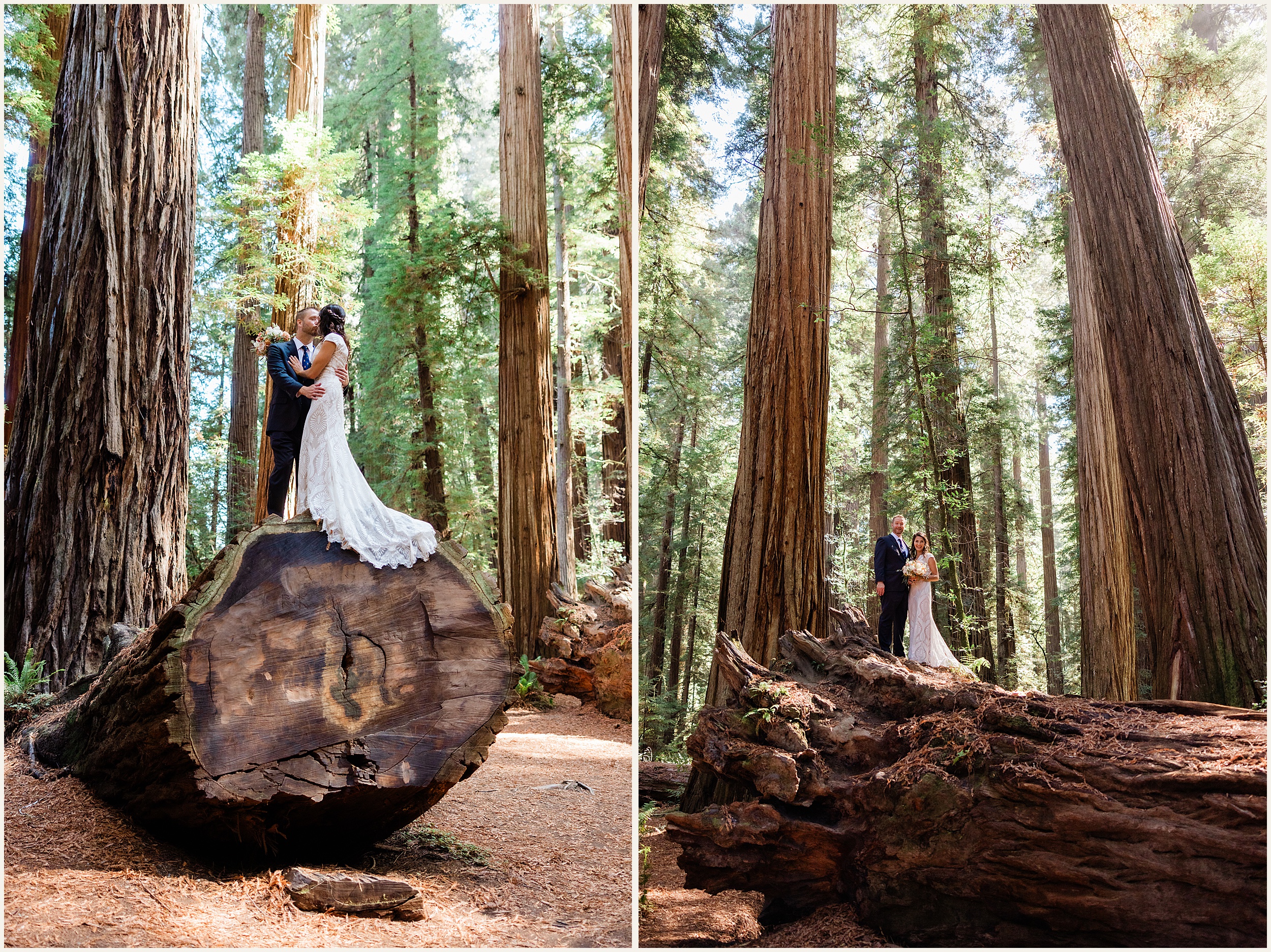 Redwood-Elopement_Emily-and-Jon_0018 Redwood National Park Elopement // Emily and Jon